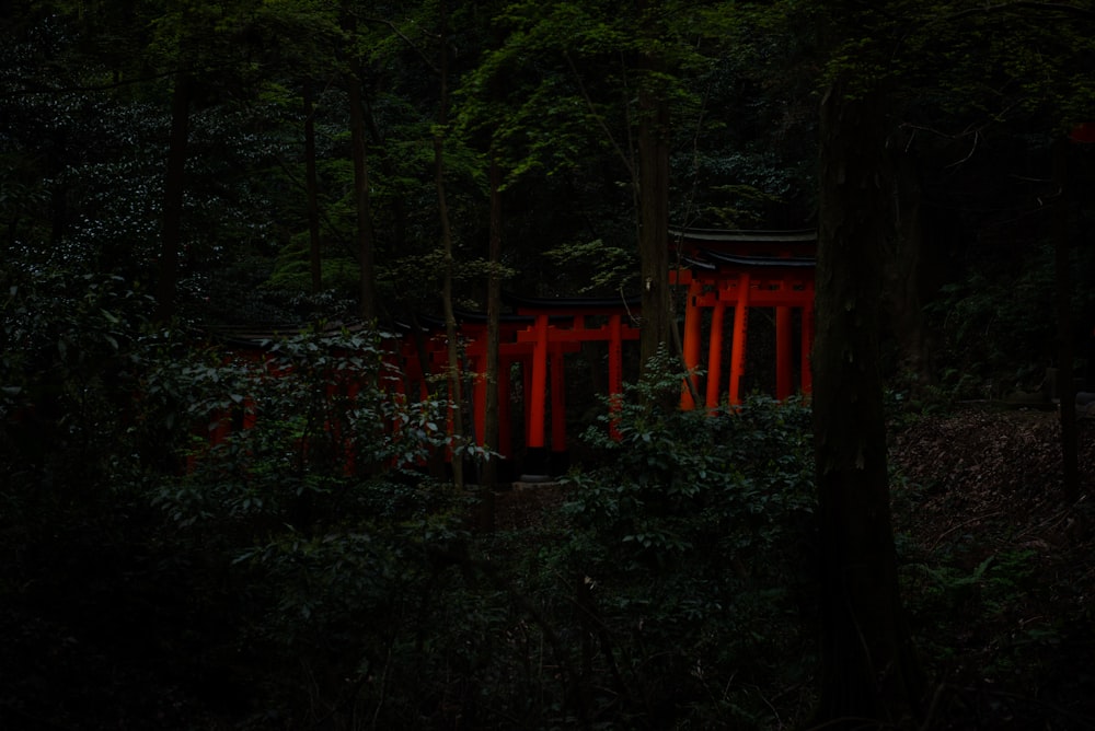 a red building in the middle of a forest