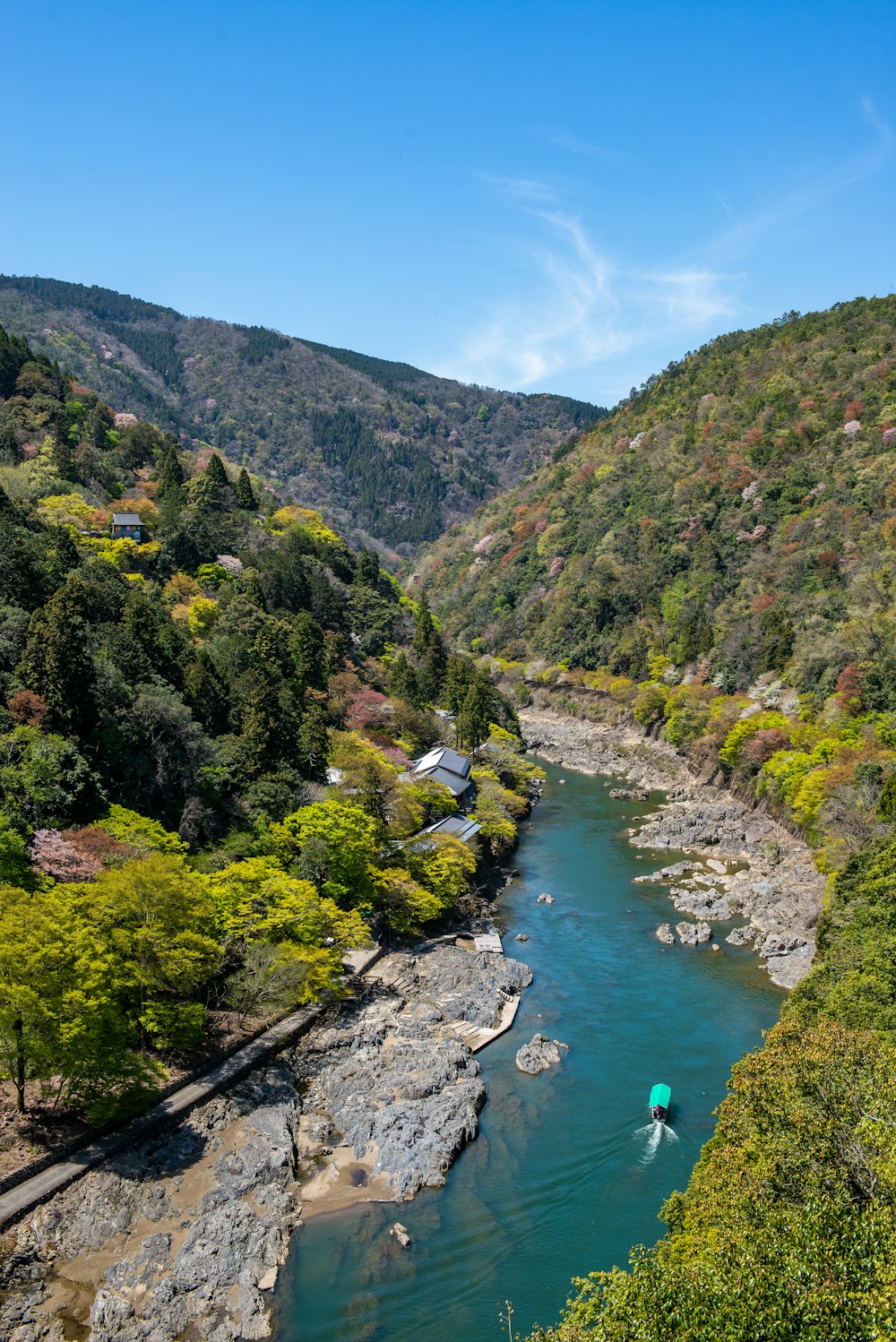 a river running through a lush green forest