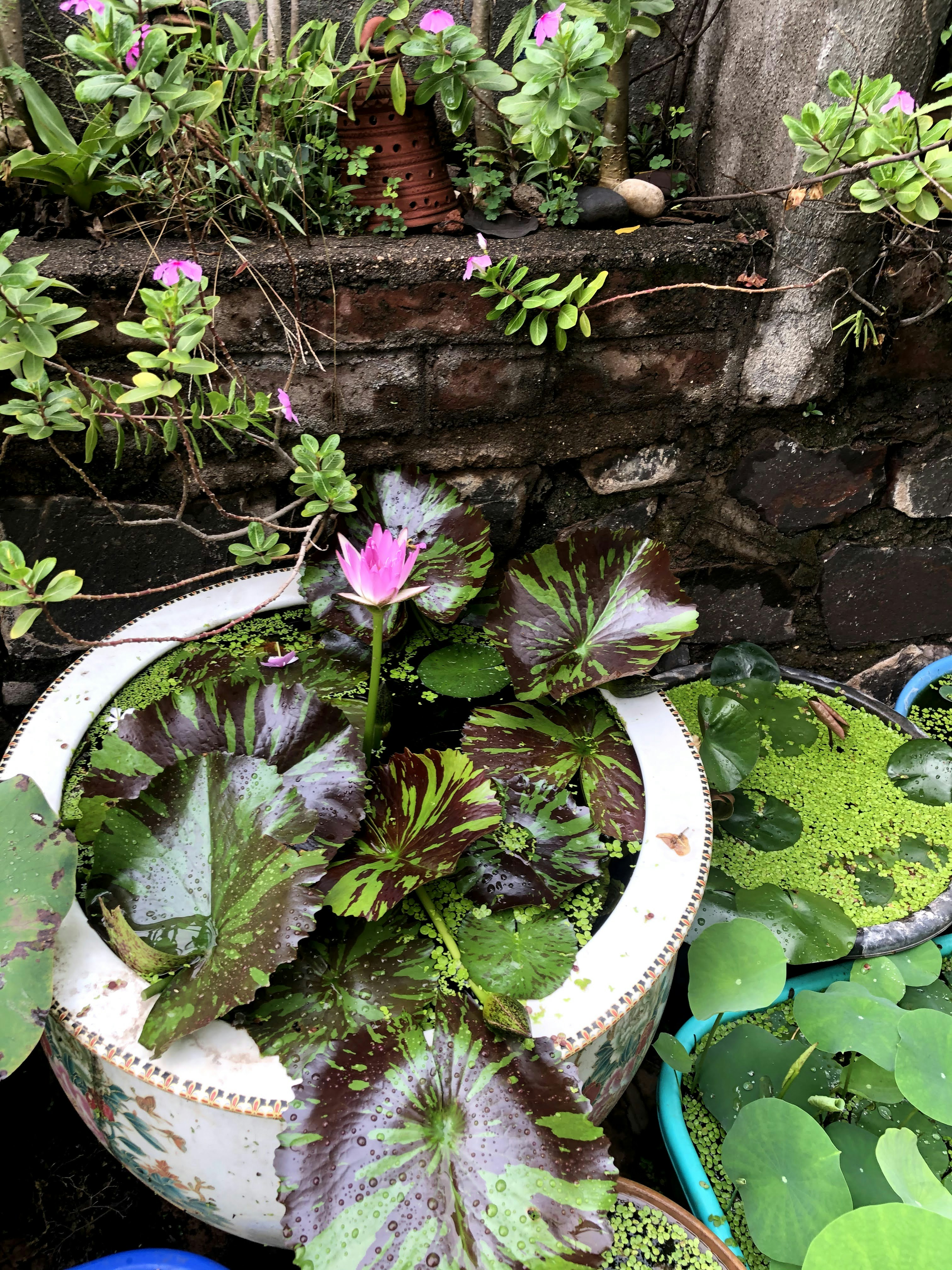 Photo by madhavisolanki