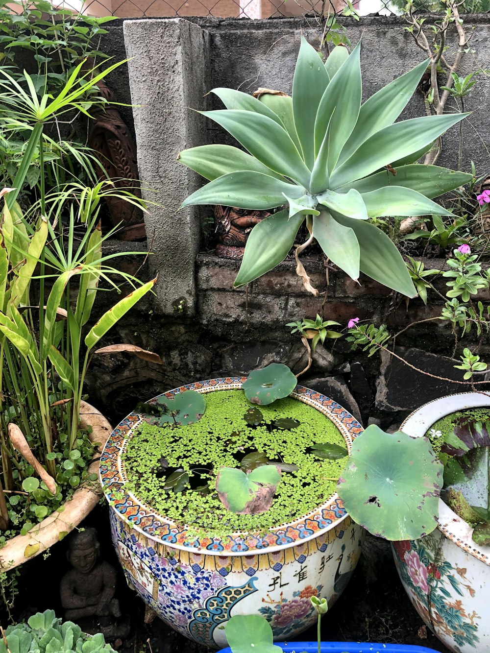 a potted plant sitting next to a potted plant