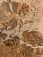 A marble surface characterized by intricate patterns and veins, featuring a mix of earthy brown and beige tones interspersed with lighter white patches. The textures create a natural and organic appearance, typical of polished stone.