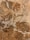 A marble surface characterized by intricate patterns and veins, featuring a mix of earthy brown and beige tones interspersed with lighter white patches. The textures create a natural and organic appearance, typical of polished stone.