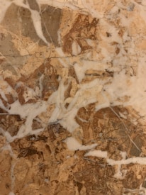 A marble surface characterized by intricate patterns and veins, featuring a mix of earthy brown and beige tones interspersed with lighter white patches. The textures create a natural and organic appearance, typical of polished stone.