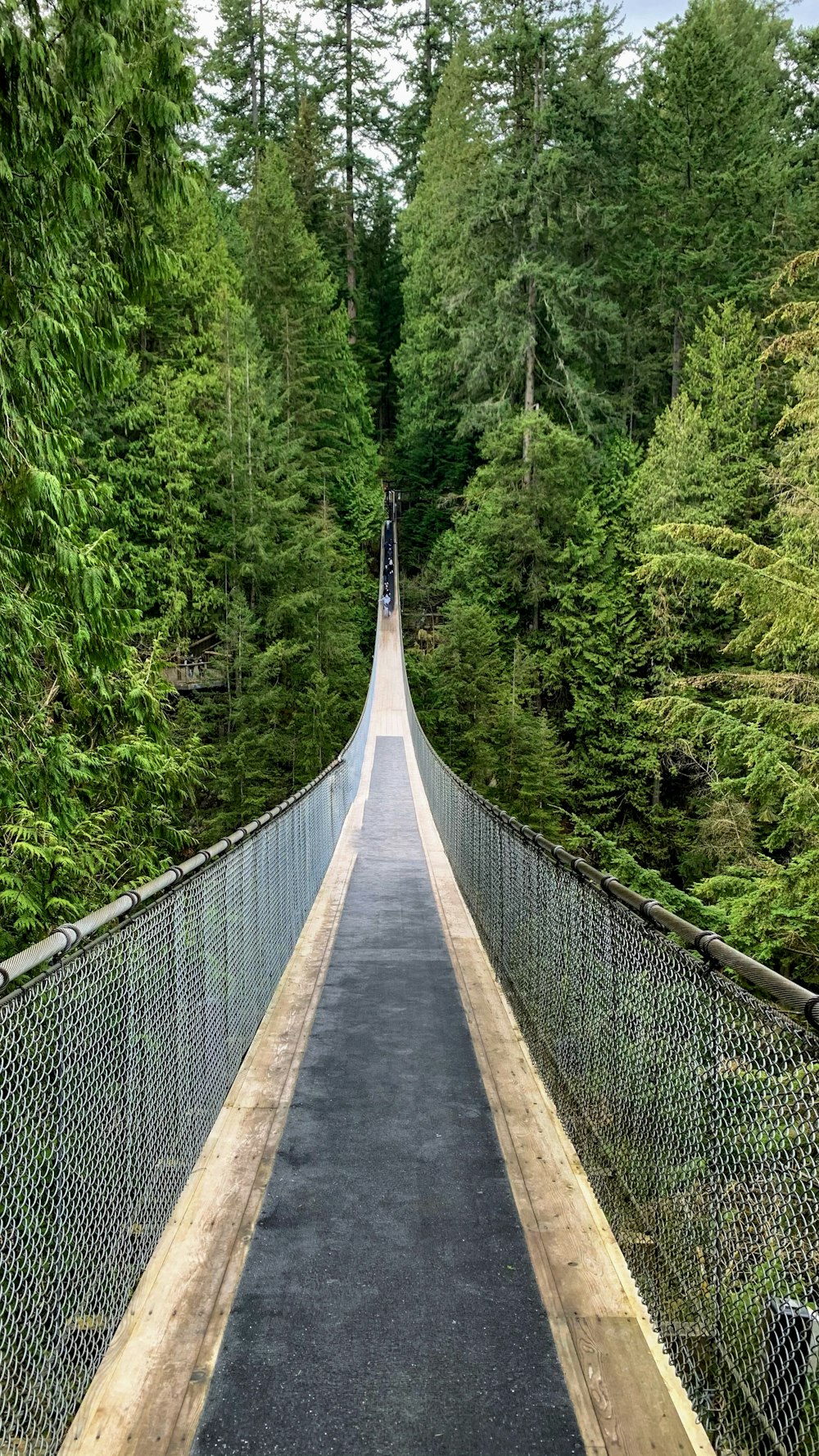 a suspension bridge in the middle of a forest