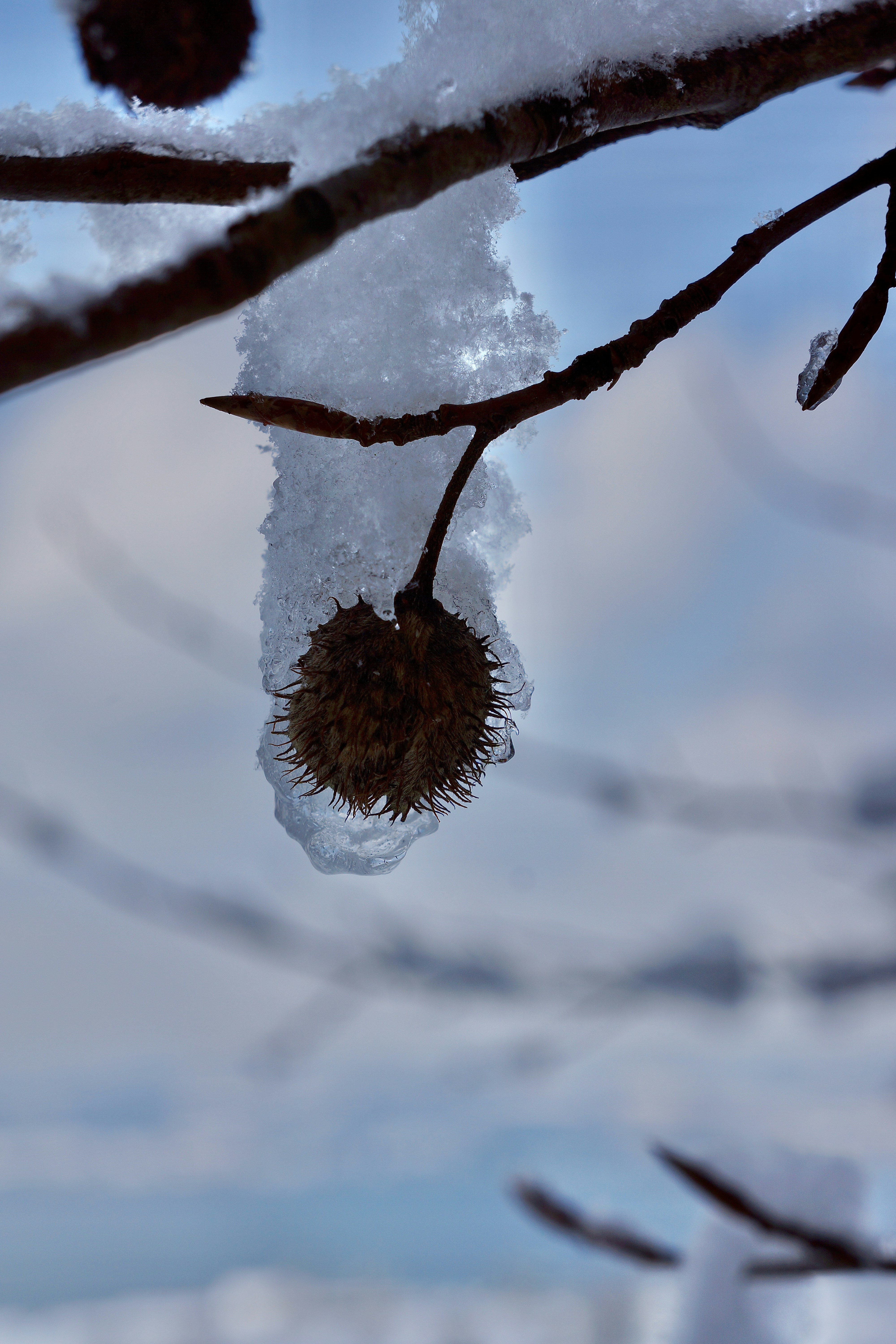 Photo by peterburdon