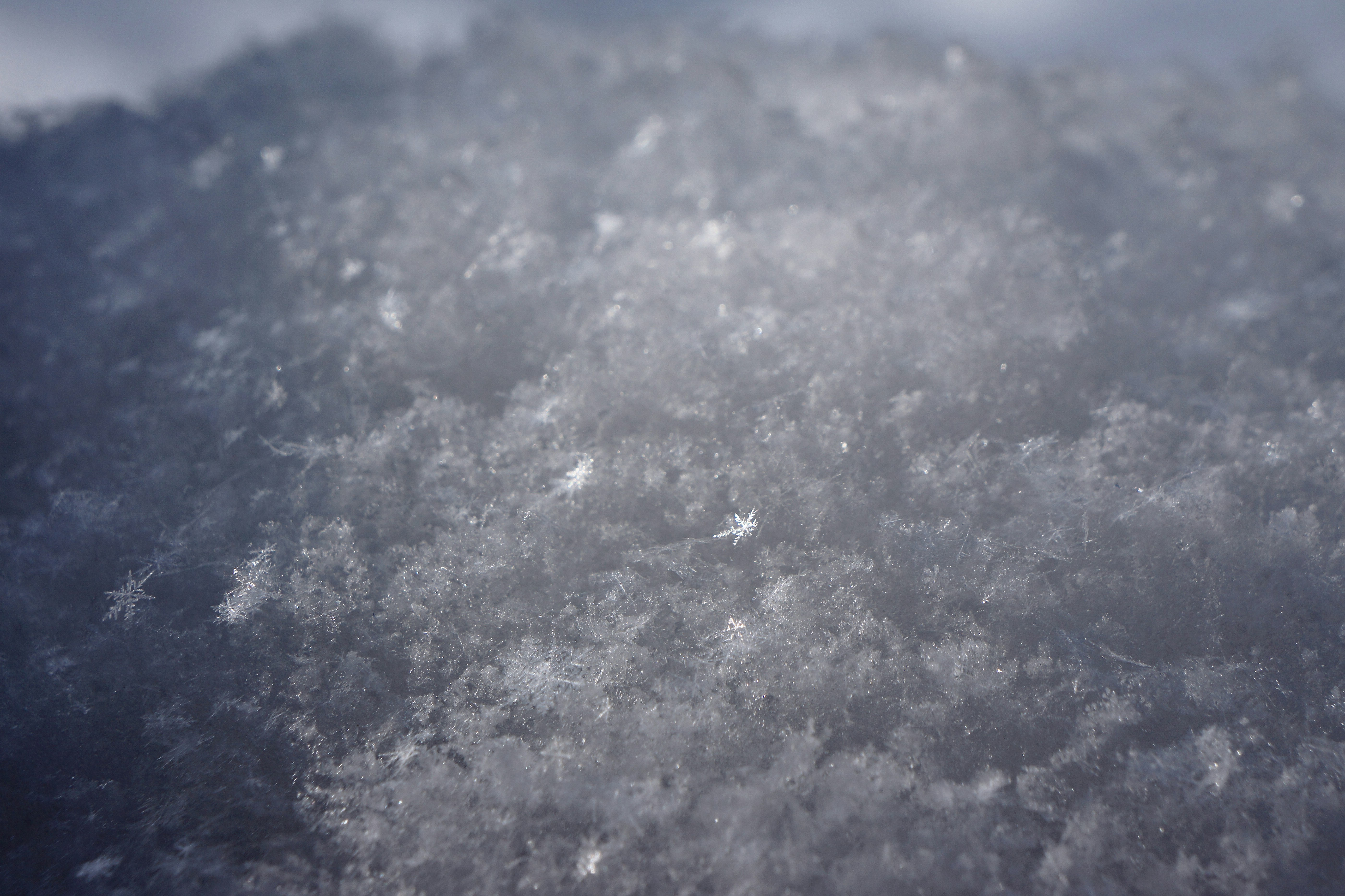 Photo by peterburdon