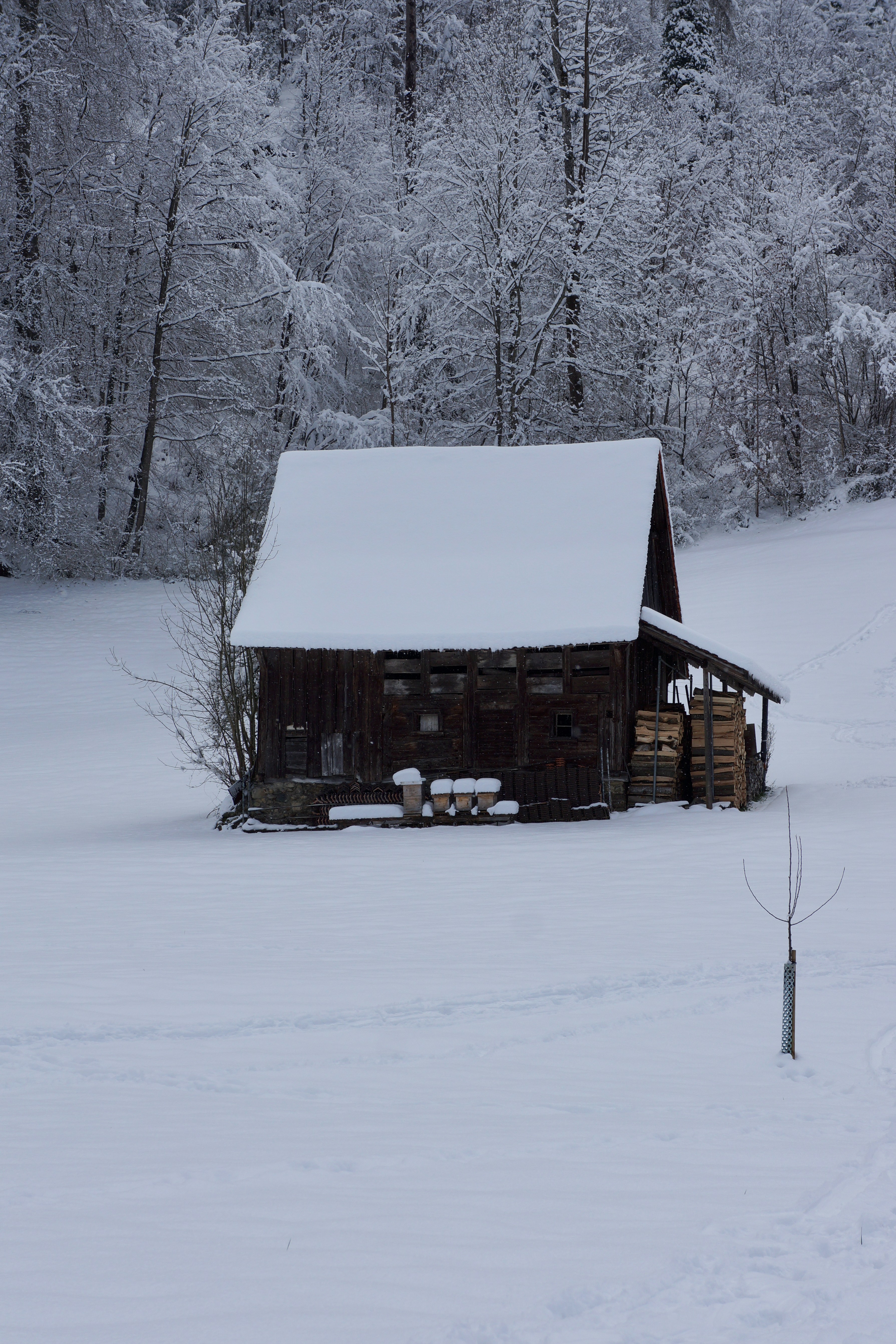 Photo by peterburdon