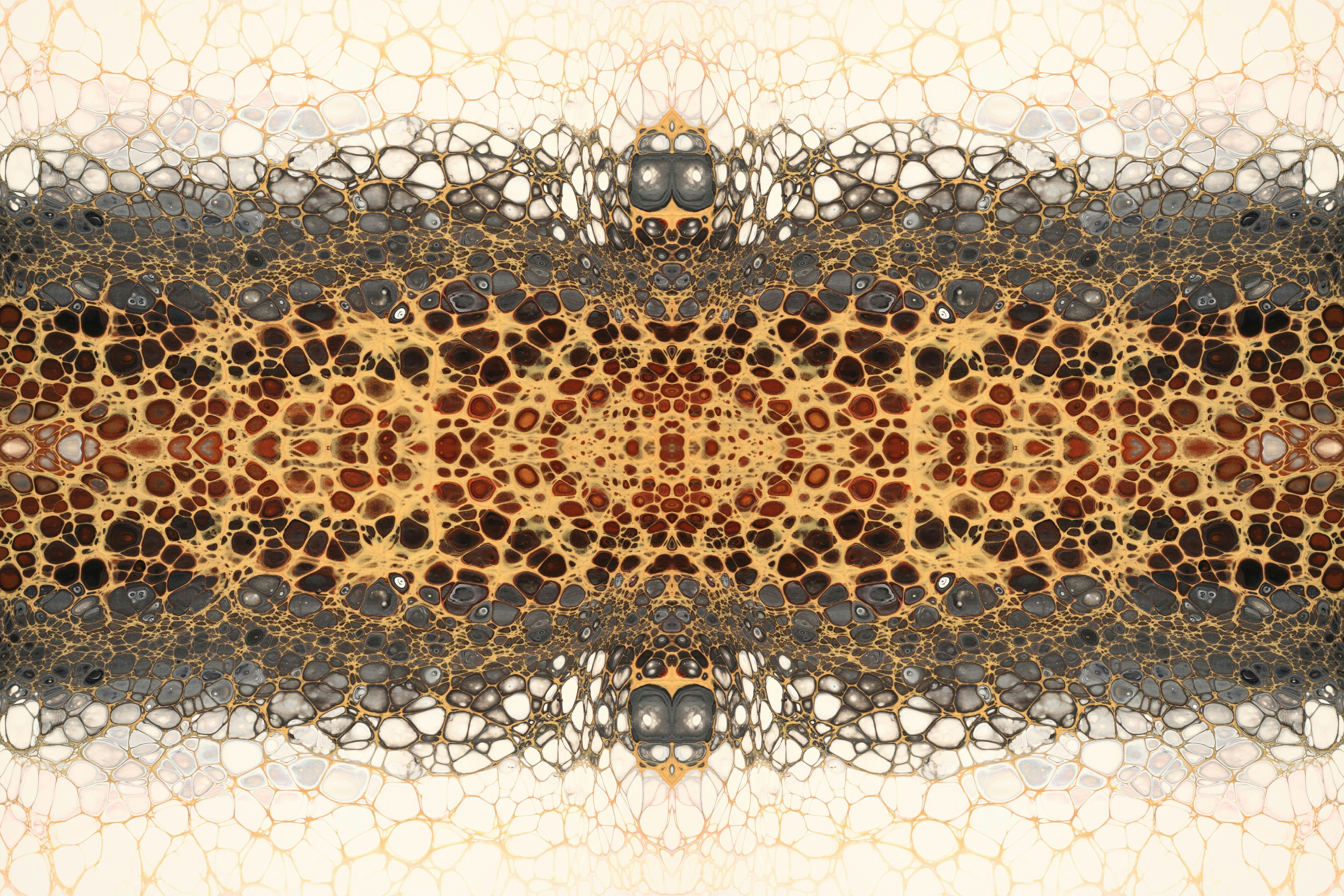 Photo by susan_wilkinson