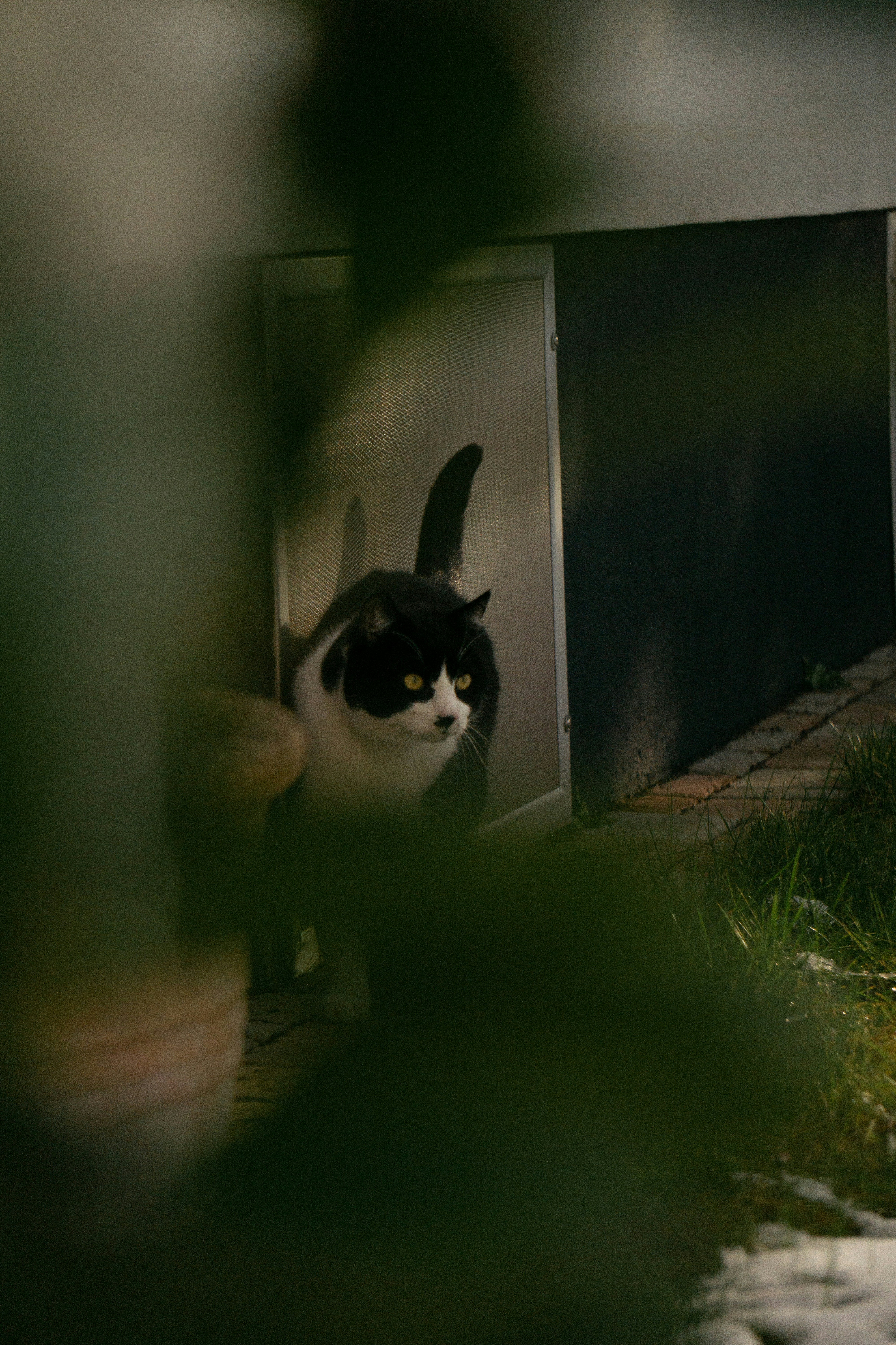 Photo by eszternaujoks