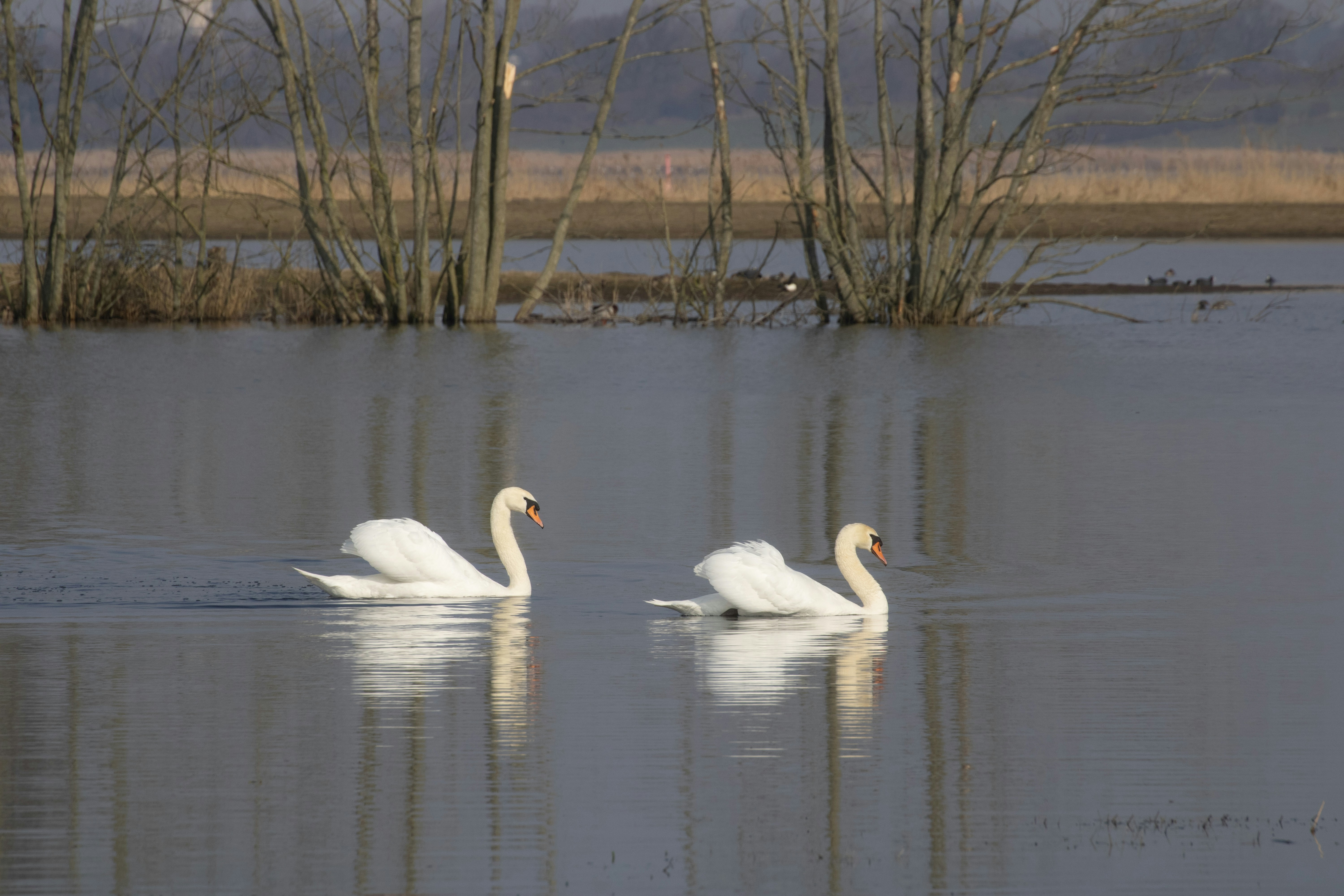 Photo by mirkofabian