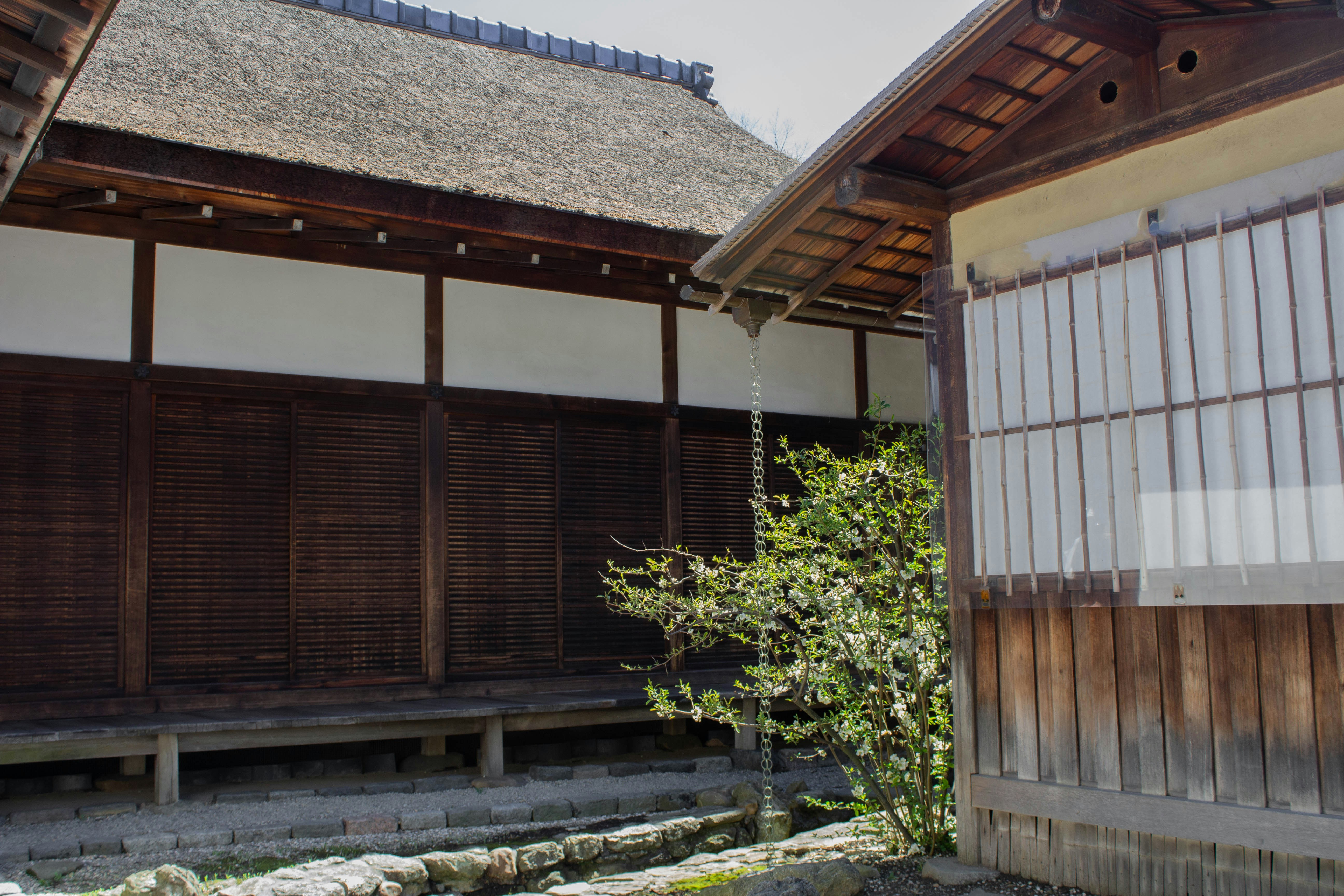 Photo by jennys_eye0