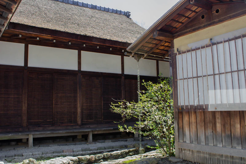 Minimalist modern Japanese tea room with white walls and precise ceramic ware