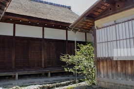 Traditional Japanese architecture with wooden sliding doors and thatched roof. A small courtyard features a stone pathway and a lush green shrub. The wooden structures and window panels reflect historical design elements.