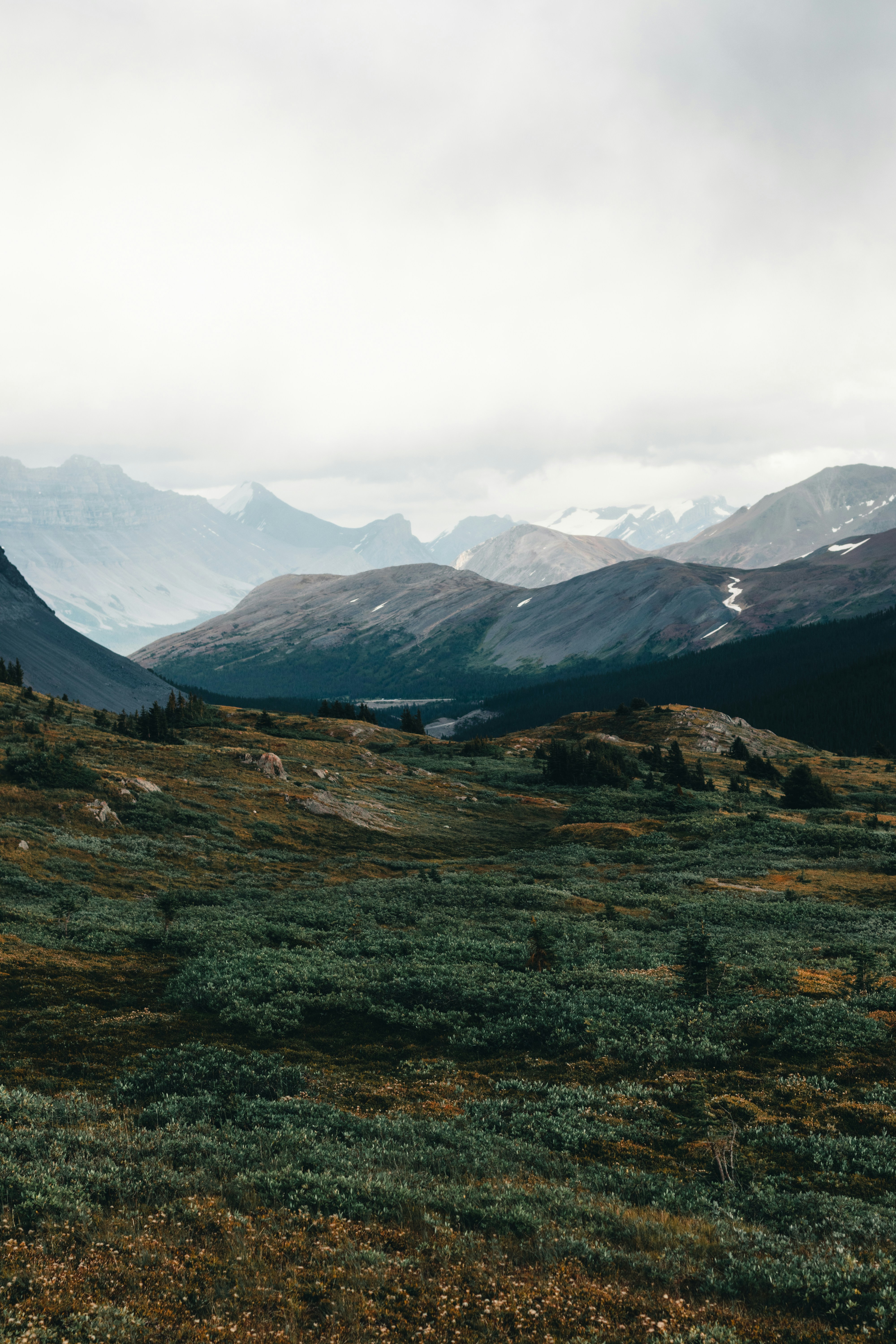 Photo by lureofadventure