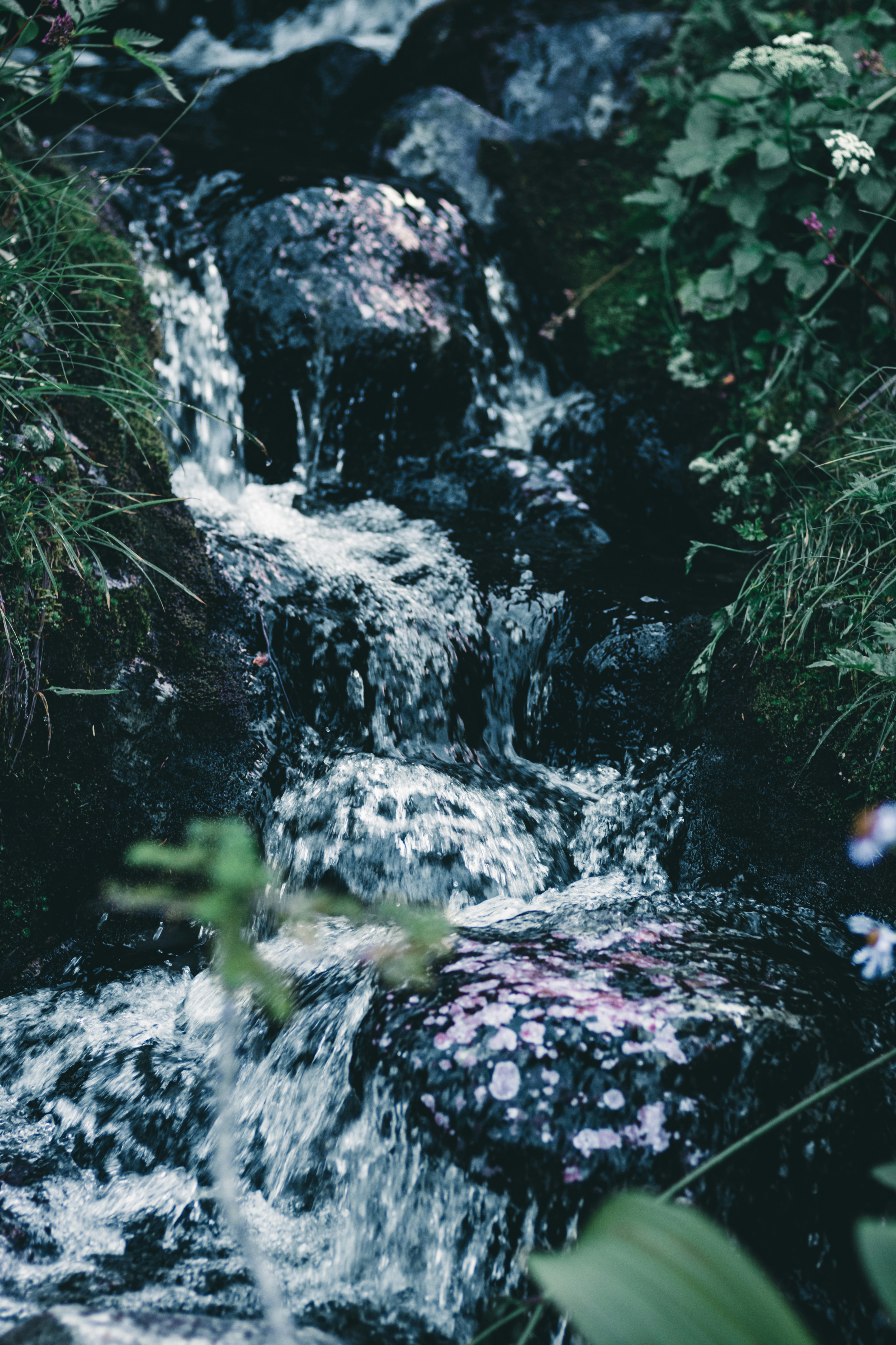 Photo by lureofadventure