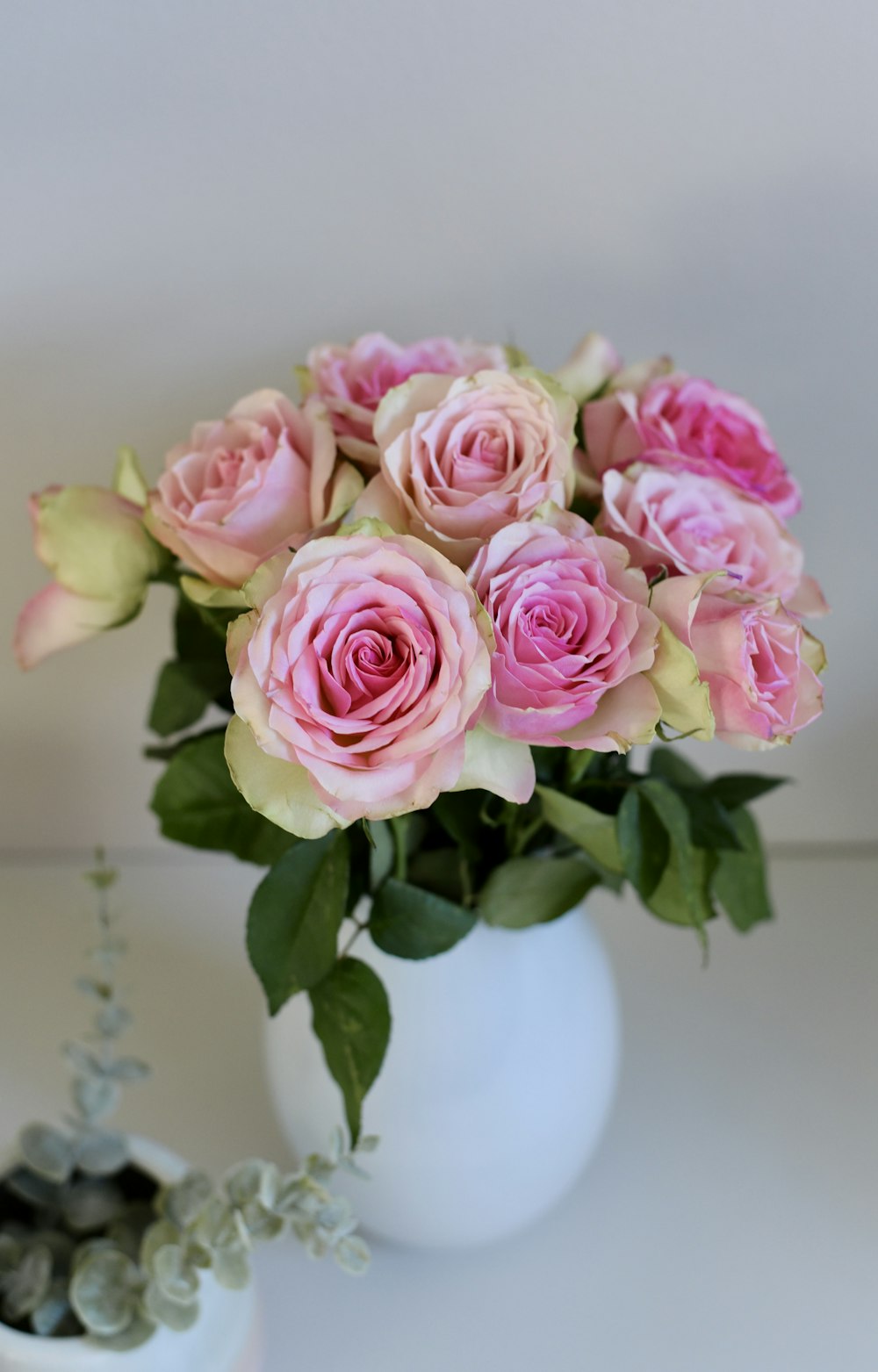 a bouquet of pink roses in a white vase