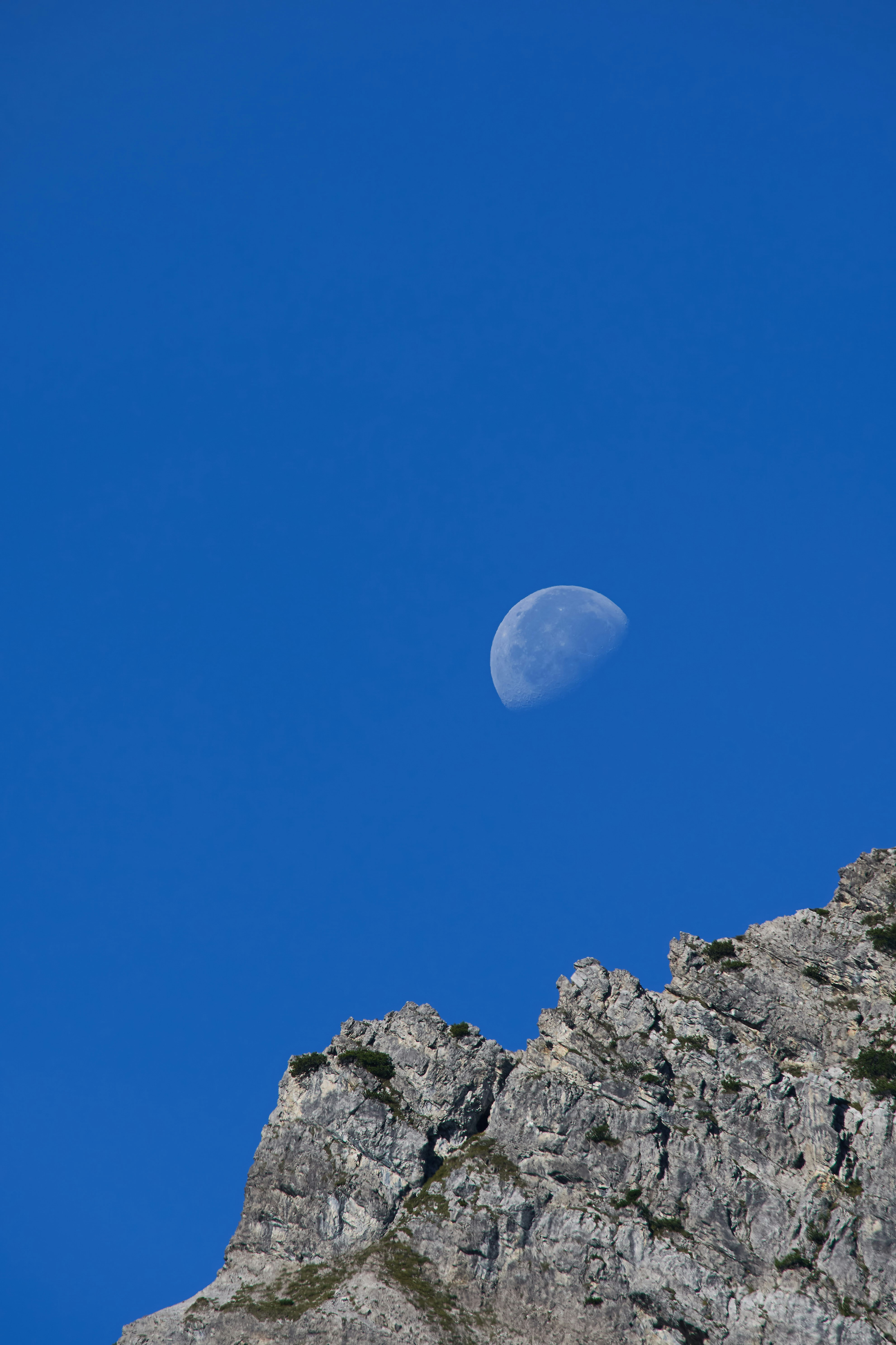 Photo by wolfgang_hasselmann