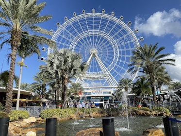 a large ferris wheel sitting next to palm trees
