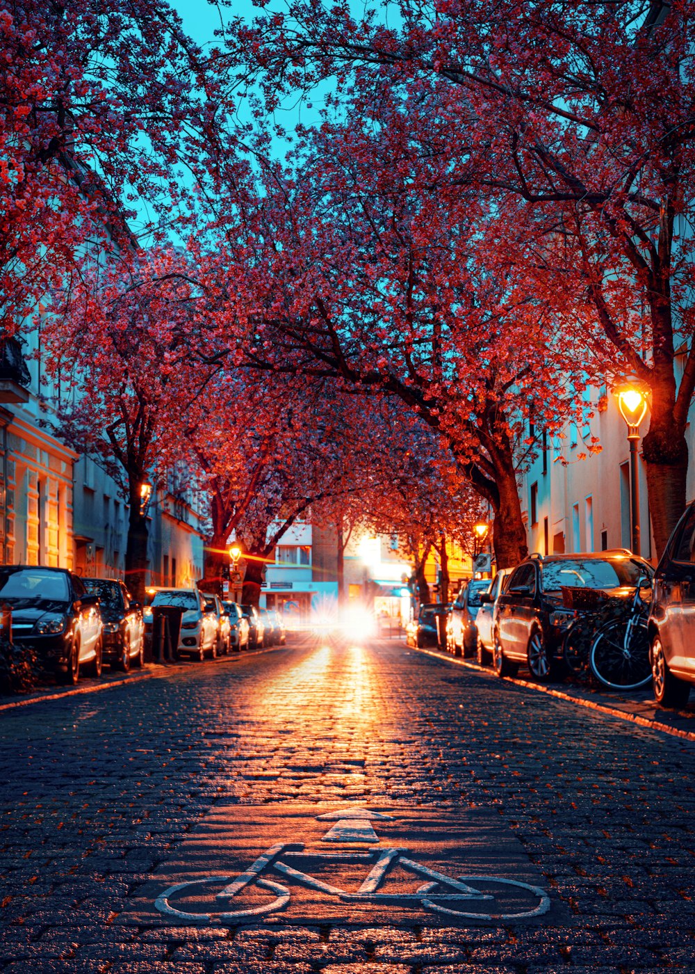 a street lined with parked cars under a canopy of red trees