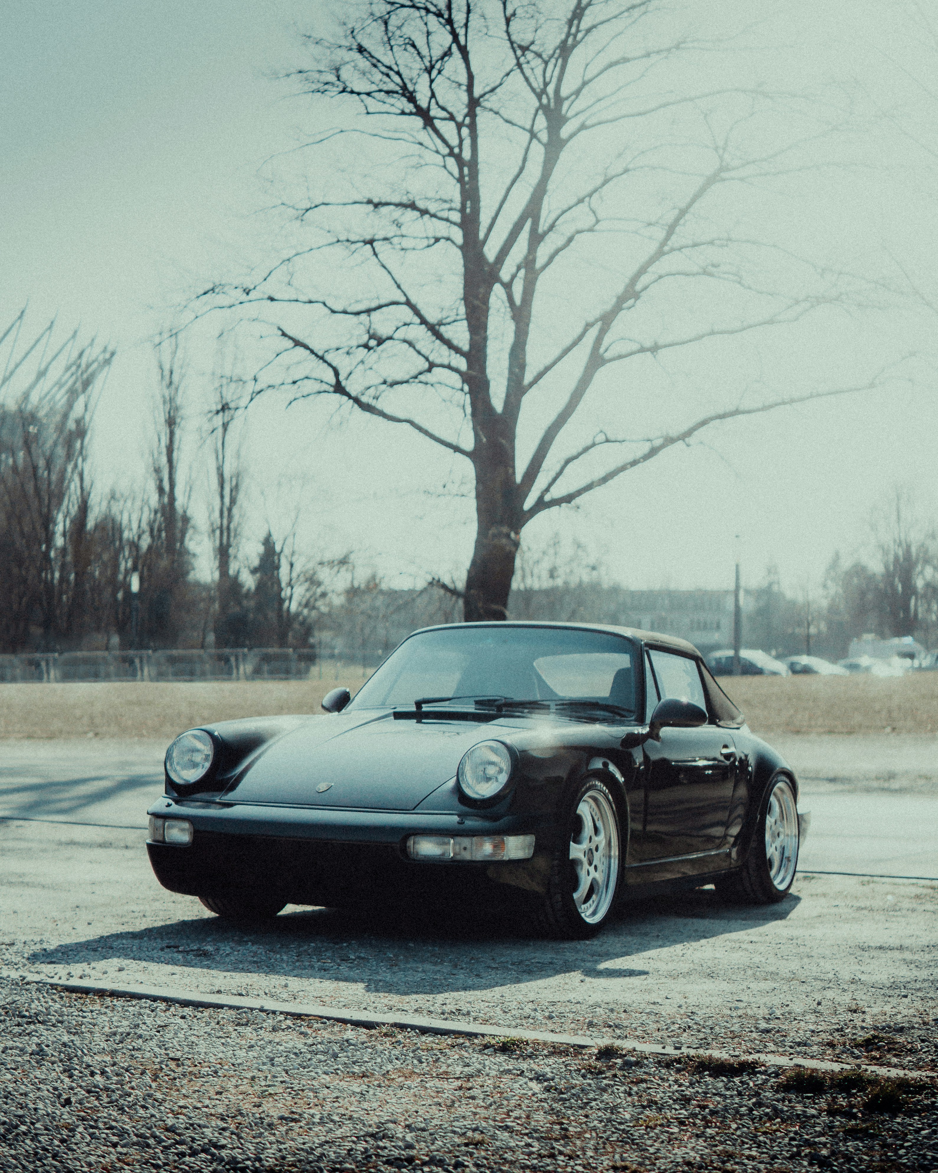 a black car parked in a parking lot next to a tree