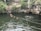 Several people are swimming and enjoying a natural water body surrounded by dense greenery and rocky cliffs. A group of individuals sits on wooden steps leading down to the water, while others are floating and swimming in the water. The environment is serene and lush, with visible ropes stretched across the water.