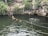 Several people are swimming and enjoying a natural water body surrounded by dense greenery and rocky cliffs. A group of individuals sits on wooden steps leading down to the water, while others are floating and swimming in the water. The environment is serene and lush, with visible ropes stretched across the water.