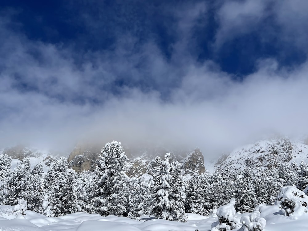 a snowy landscape with trees and clouds in the background