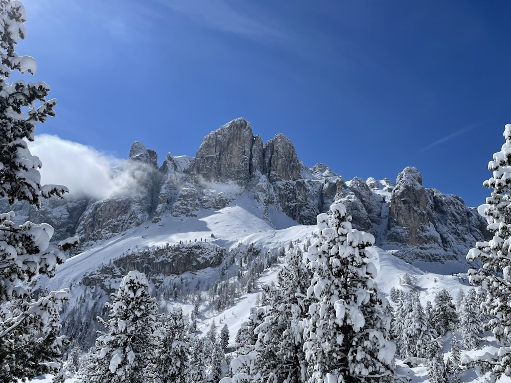 a mountain covered in snow surrounded by trees