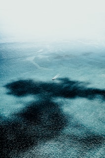 Oil Spill in Sea