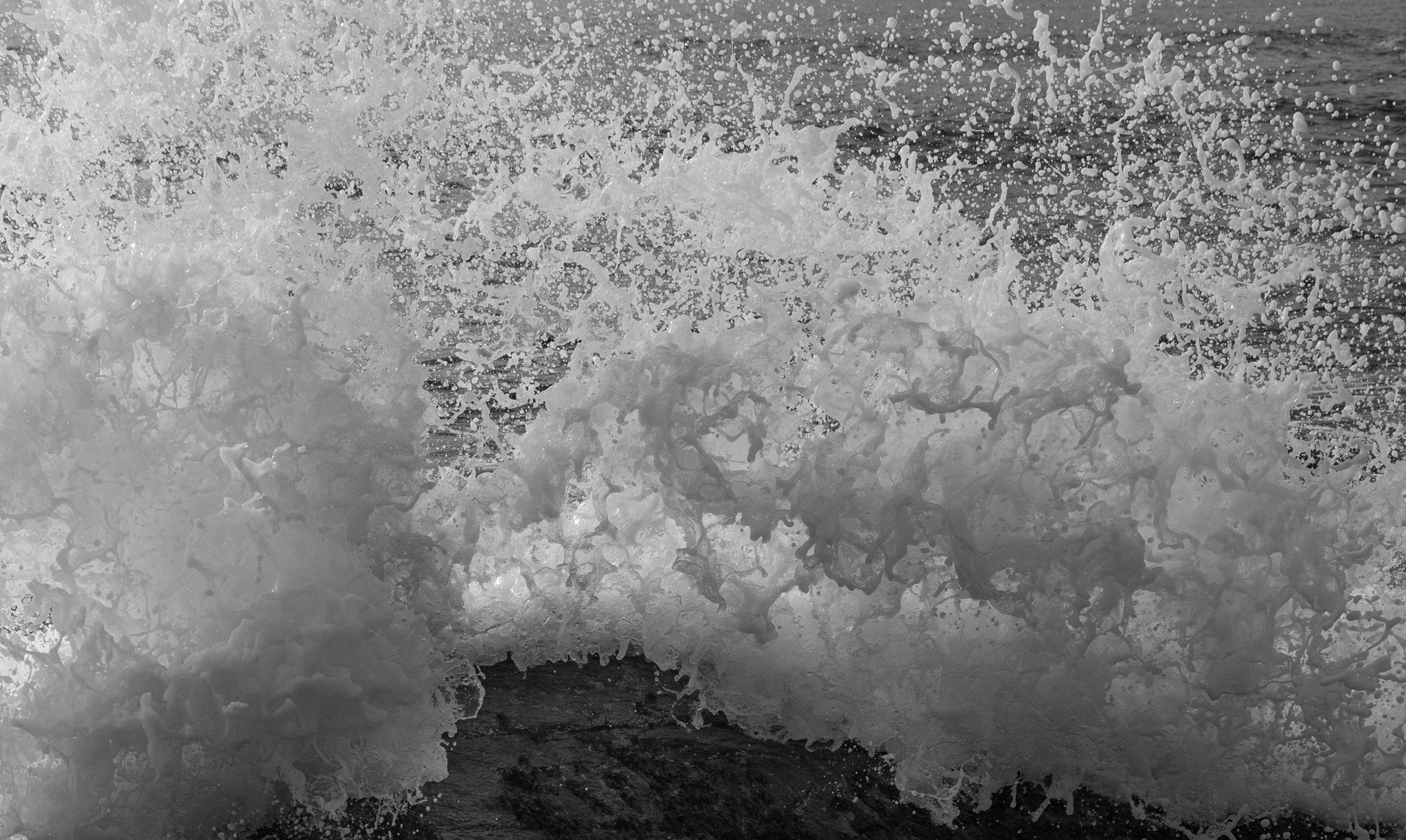 Photo by capturelight