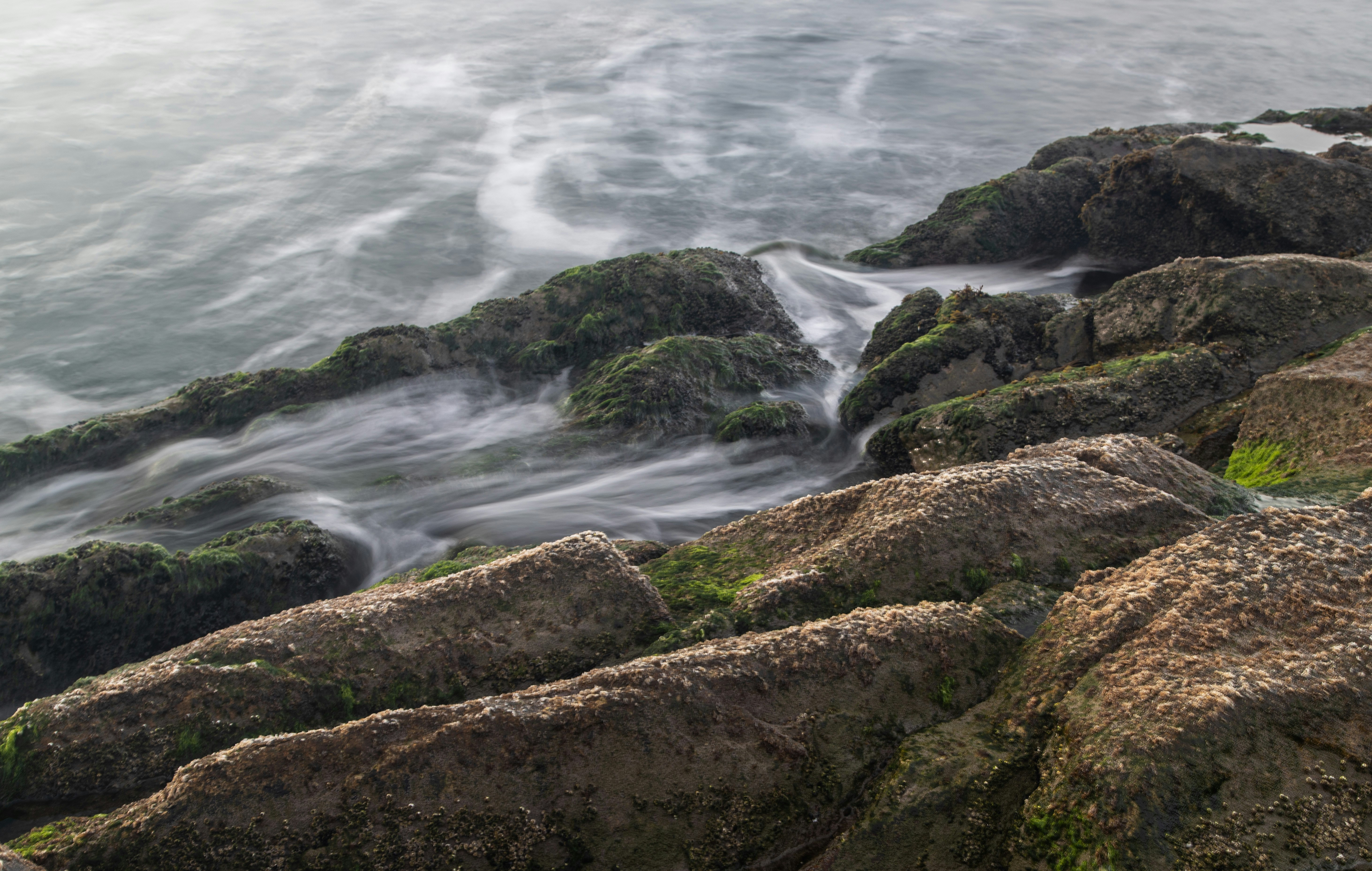 Photo by capturelight