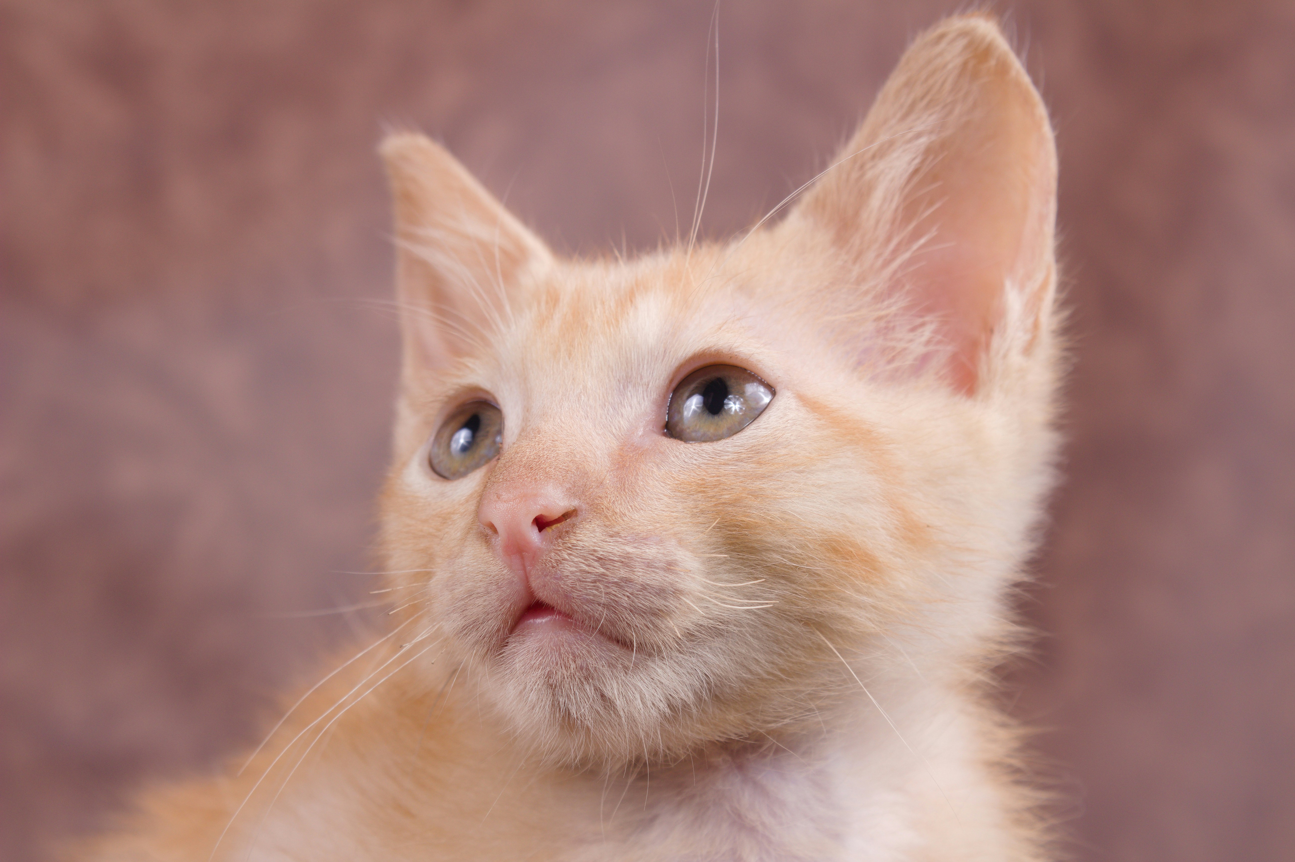 Photo by gladystonefonseca