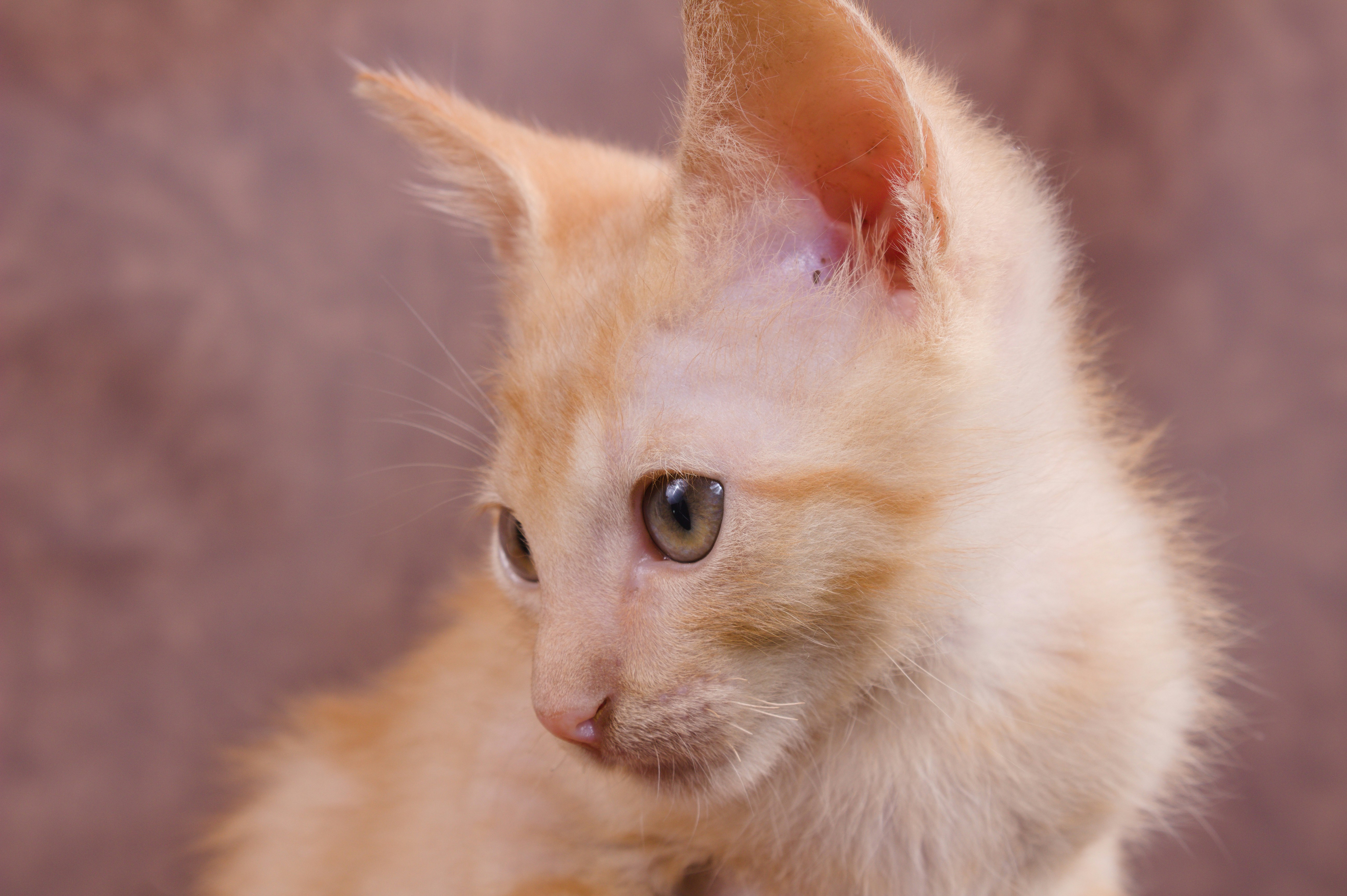 Photo by gladystonefonseca