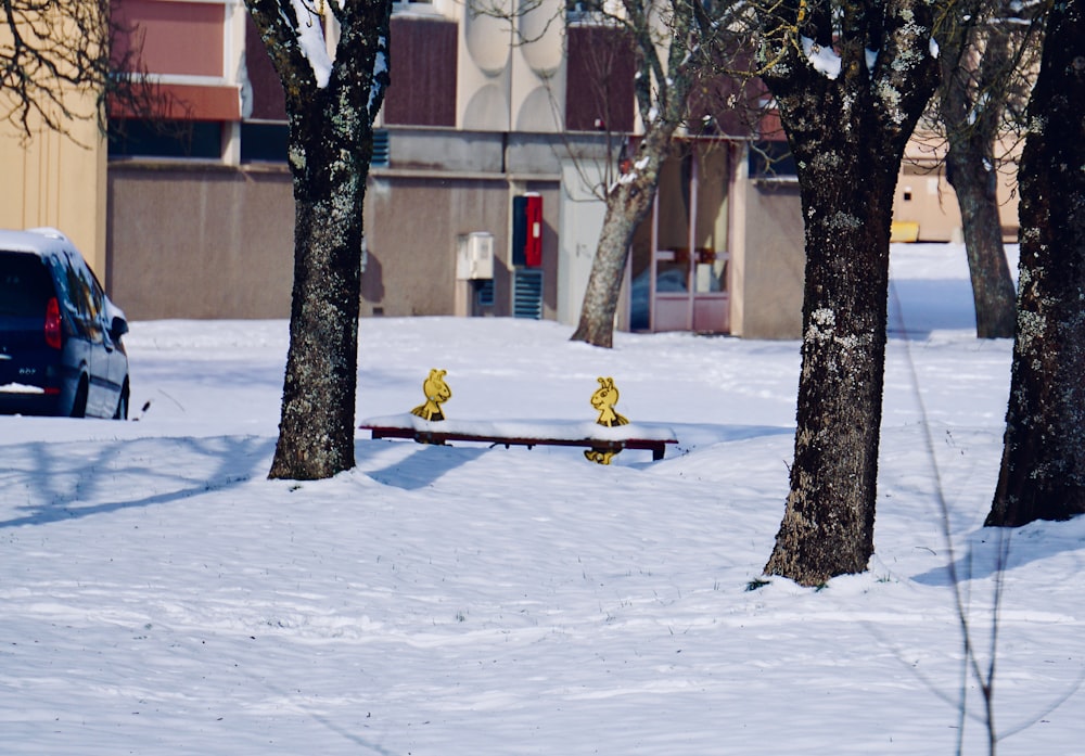 two yellow fire hydrants sitting on a bench in the snow