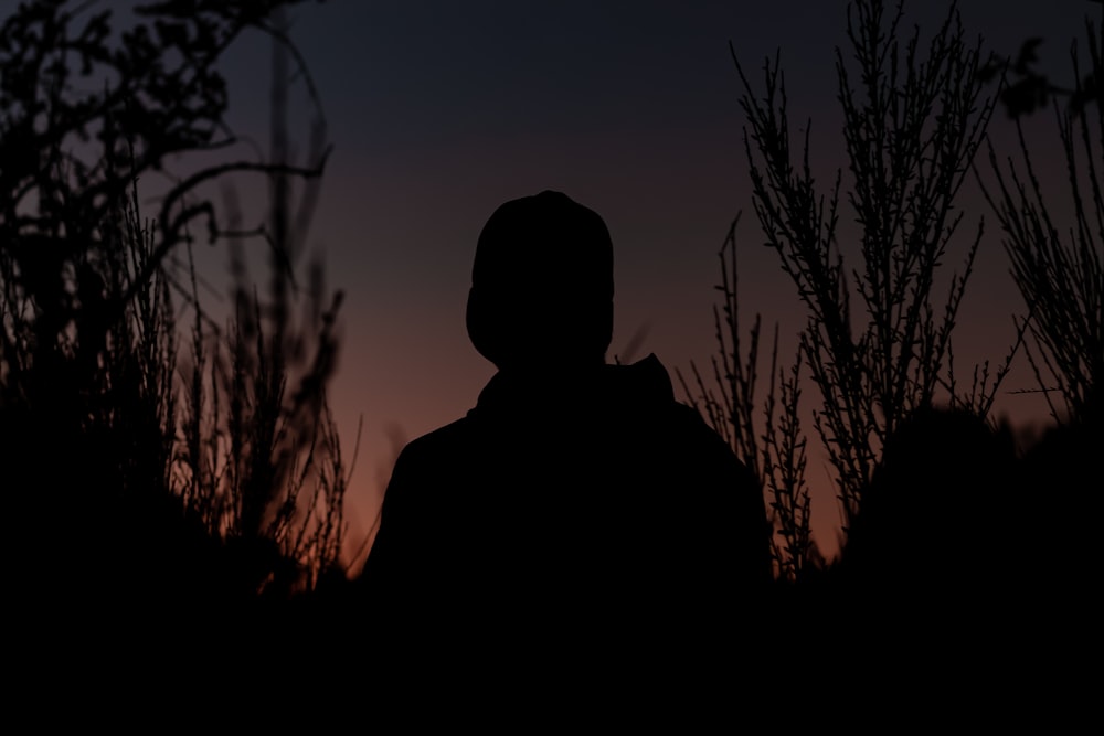 a silhouette of a person standing in a field at sunset