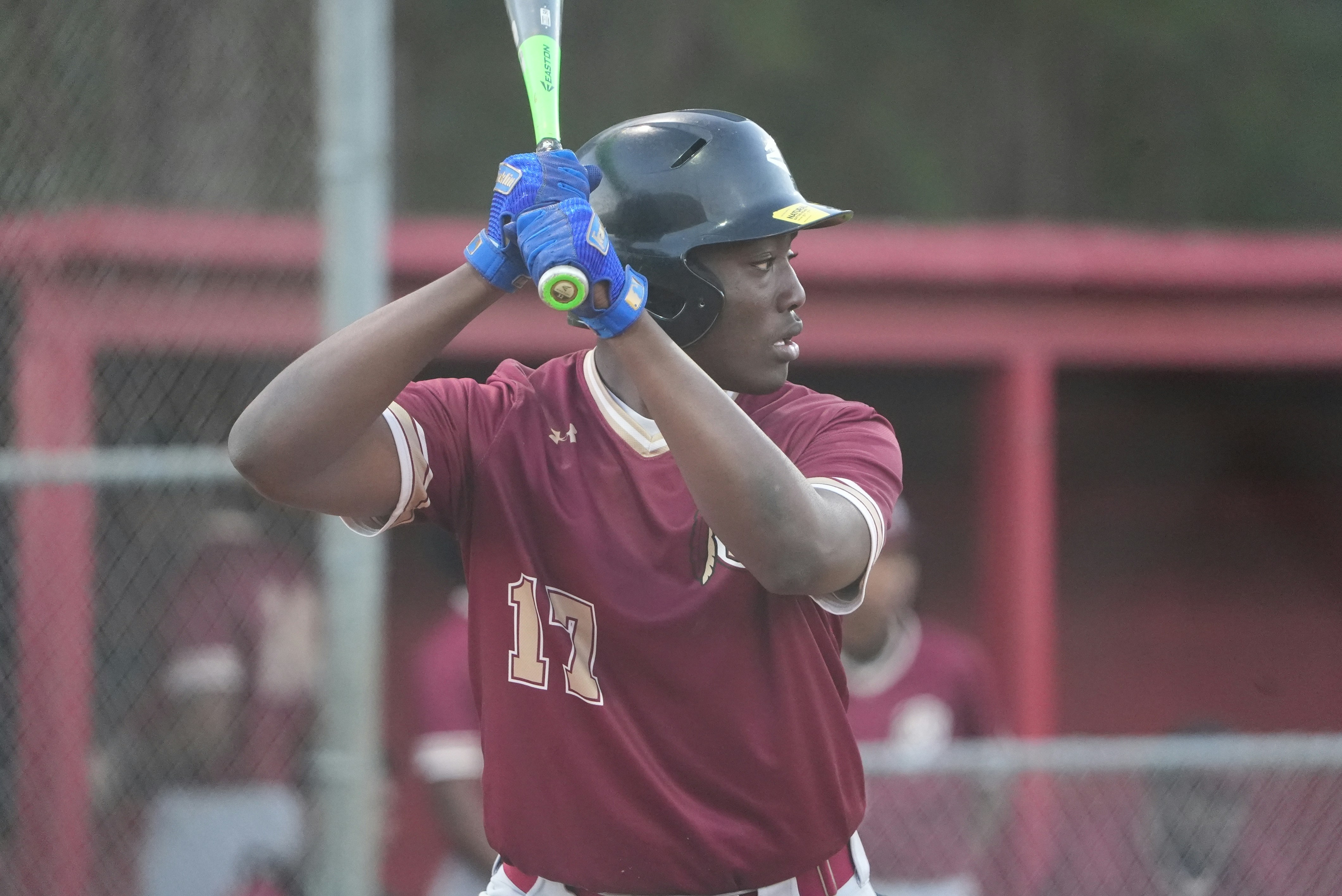 a baseball player holding a bat on a field