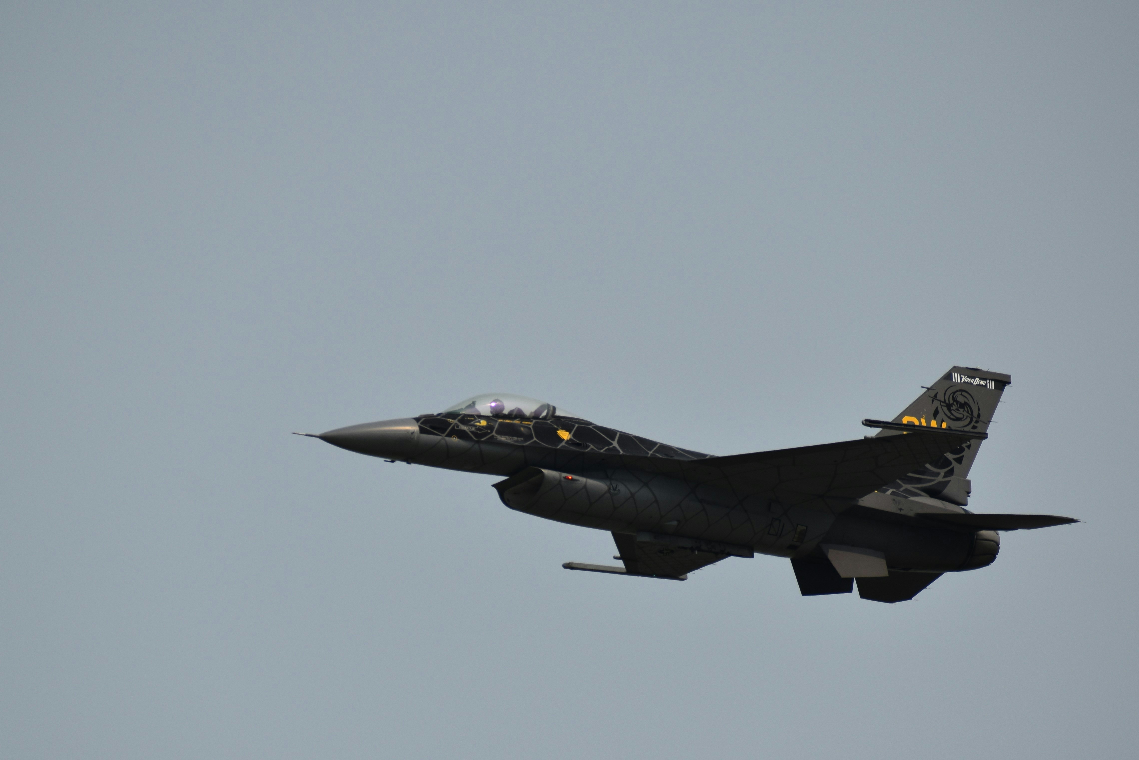 Photo by koshaughnessy