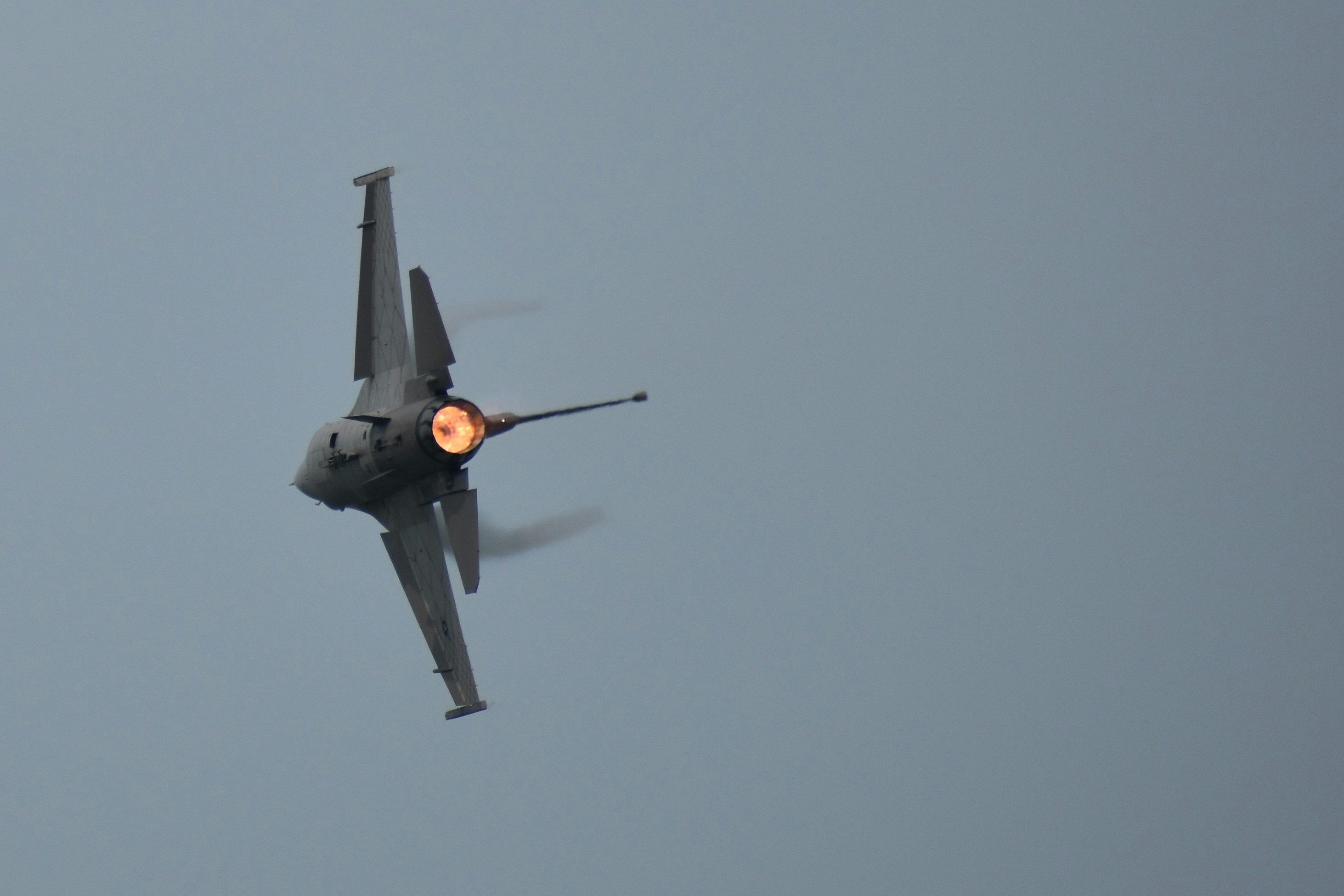 Photo by koshaughnessy