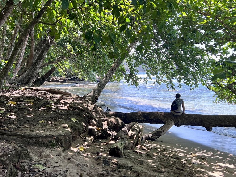 a person sitting on a log on a beach