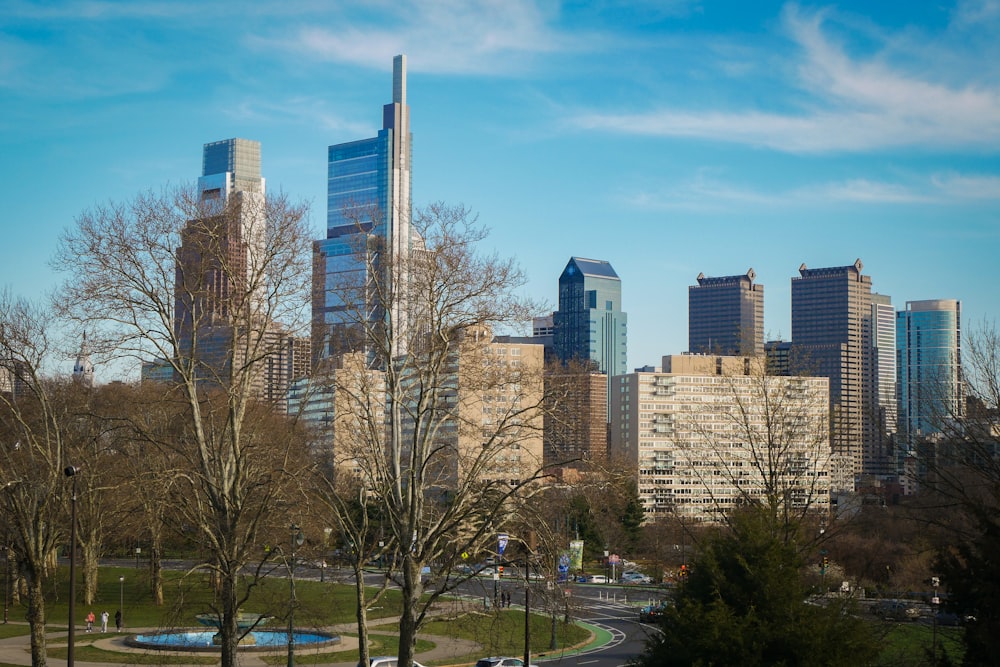 a view of a city from a park