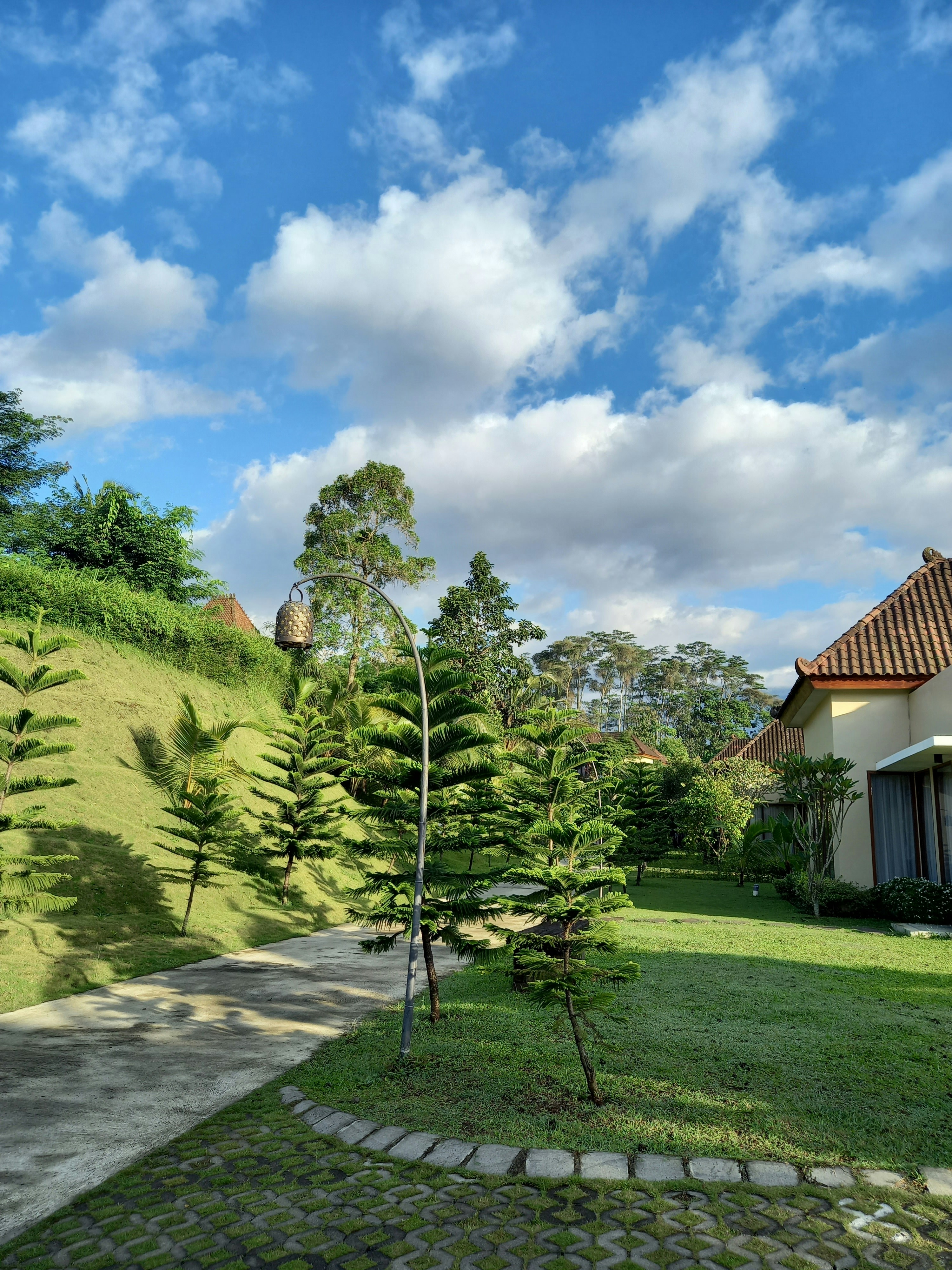 sebuah rumah di atas bukit dengan pohon di latar depan