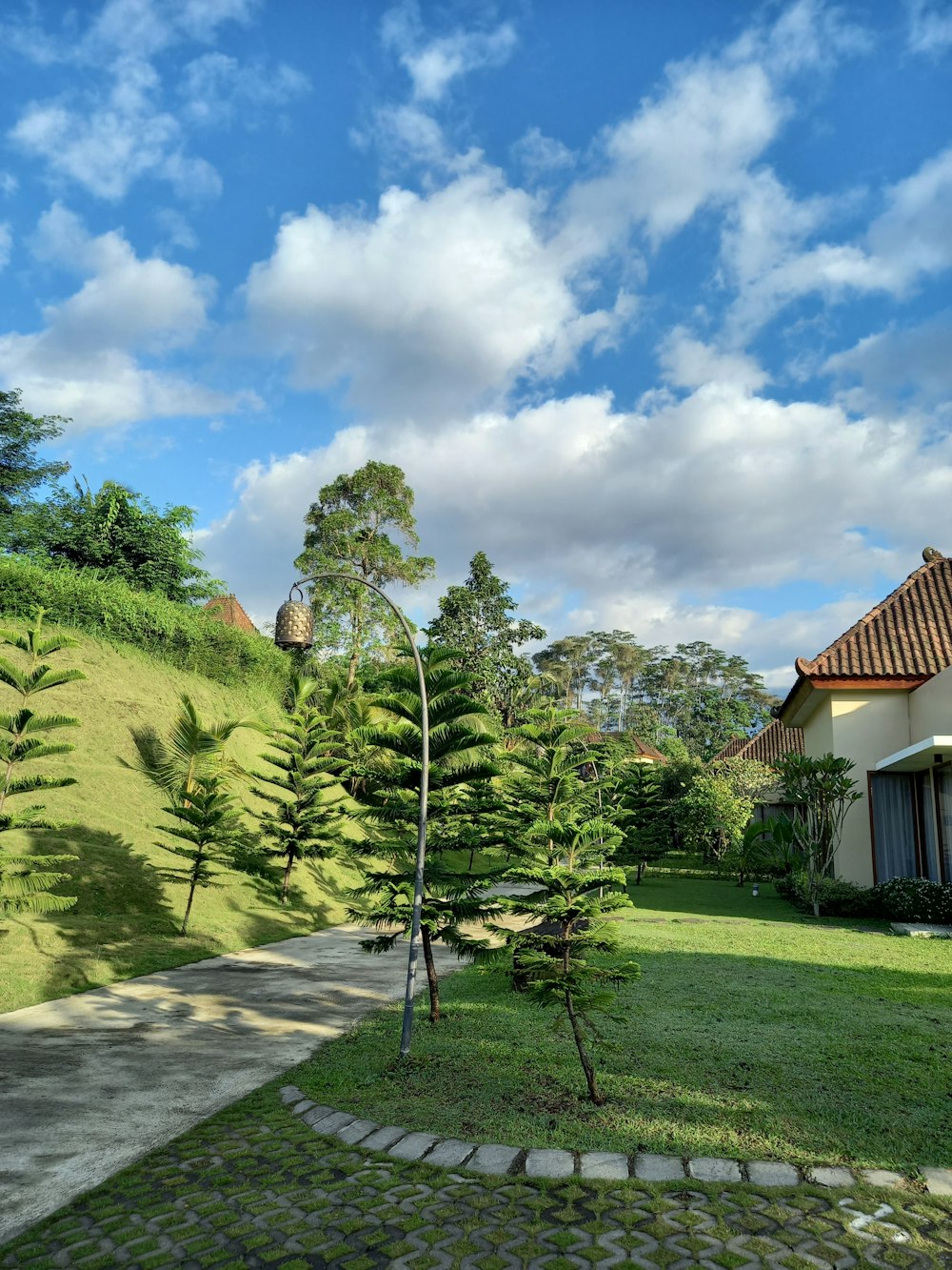 Una casa en una colina con un árbol en primer plano