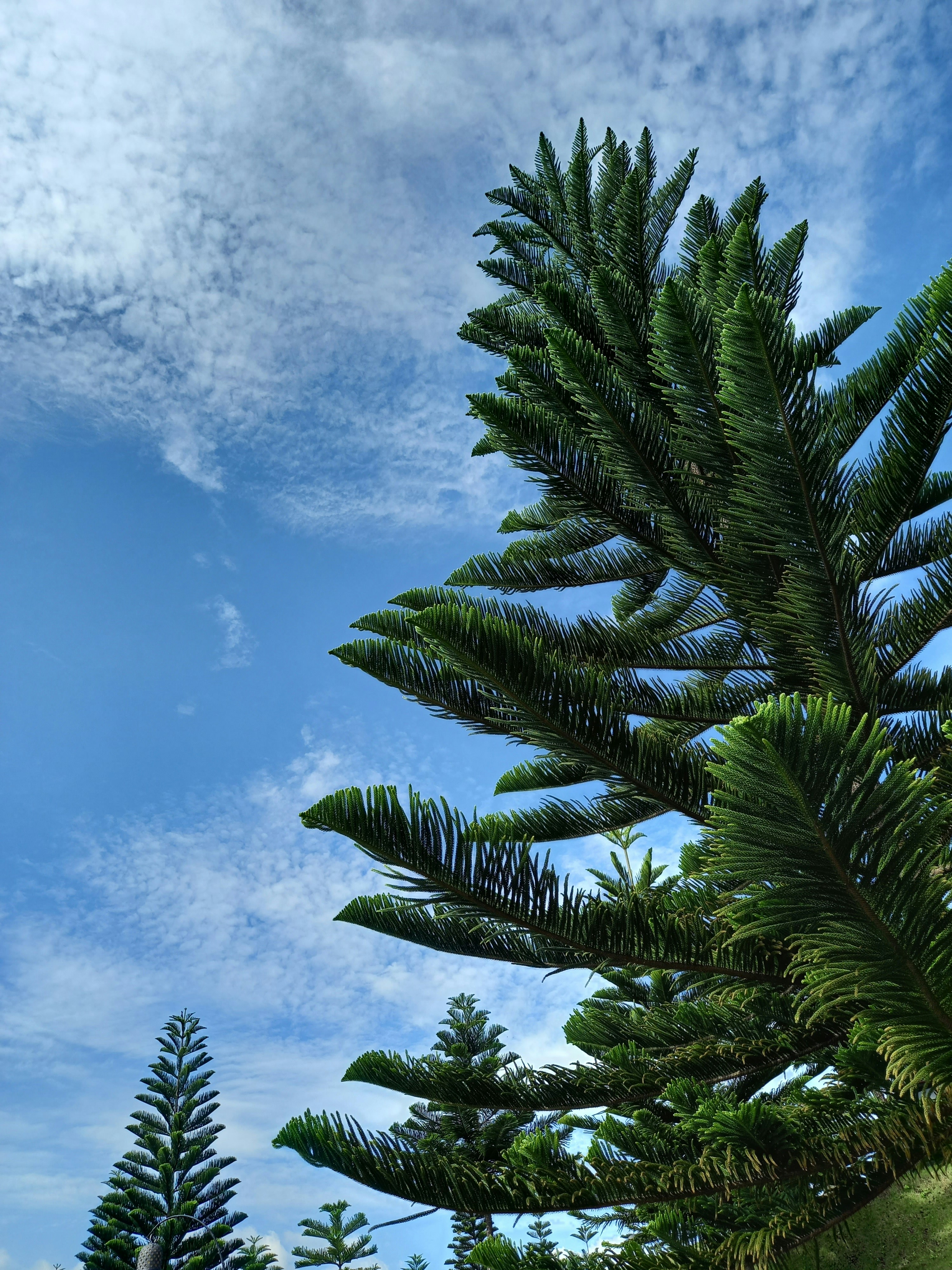 Photo by syarif_samari