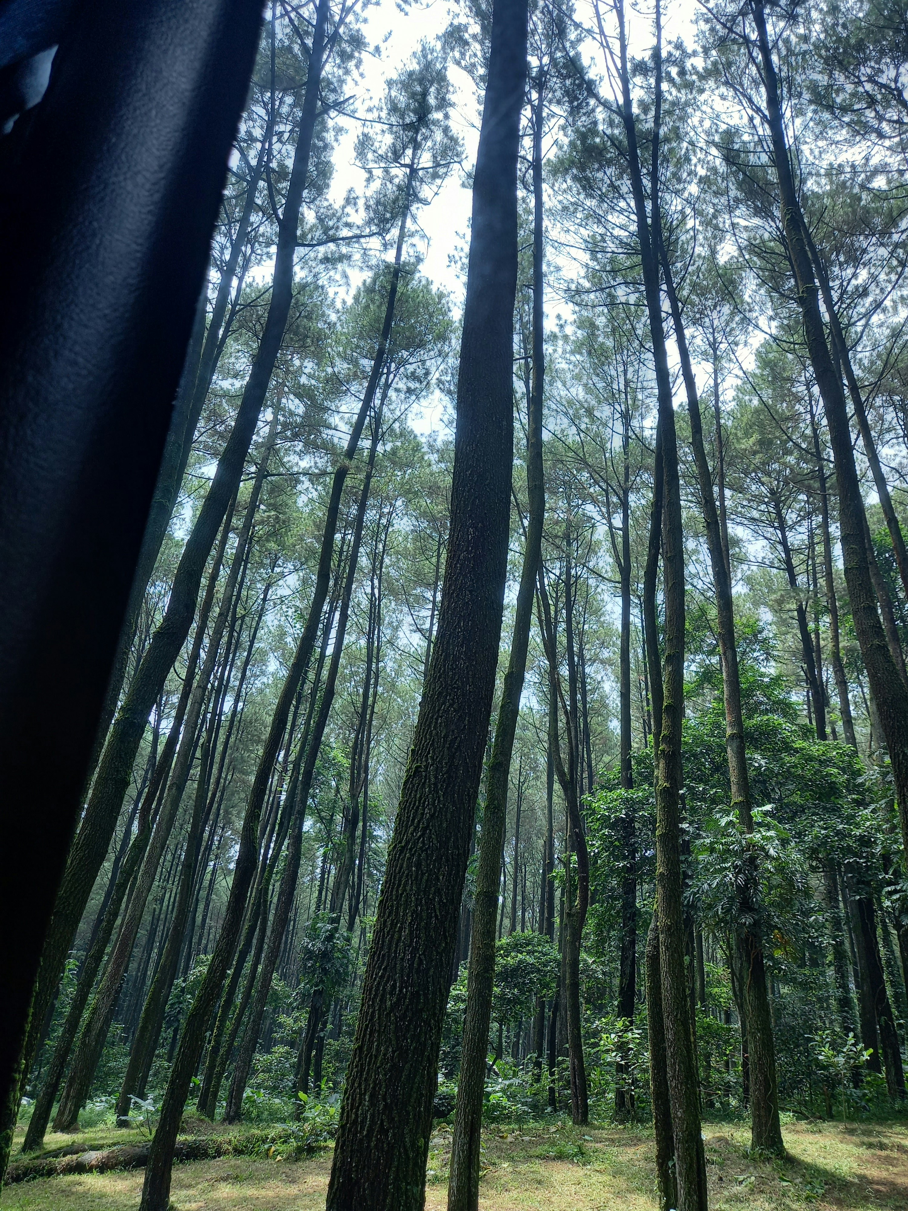 Photo by syarif_samari