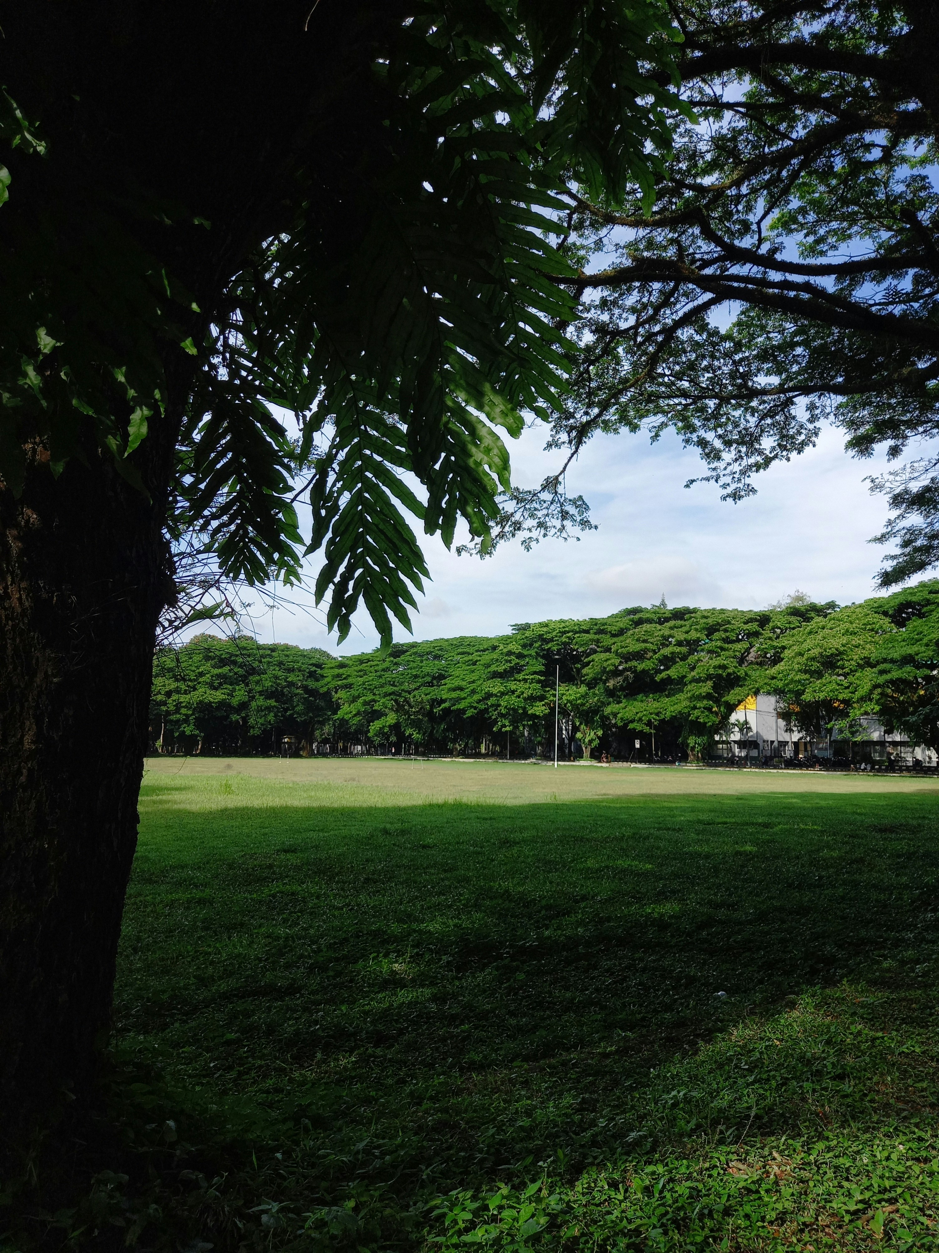 Photo by syarif_samari