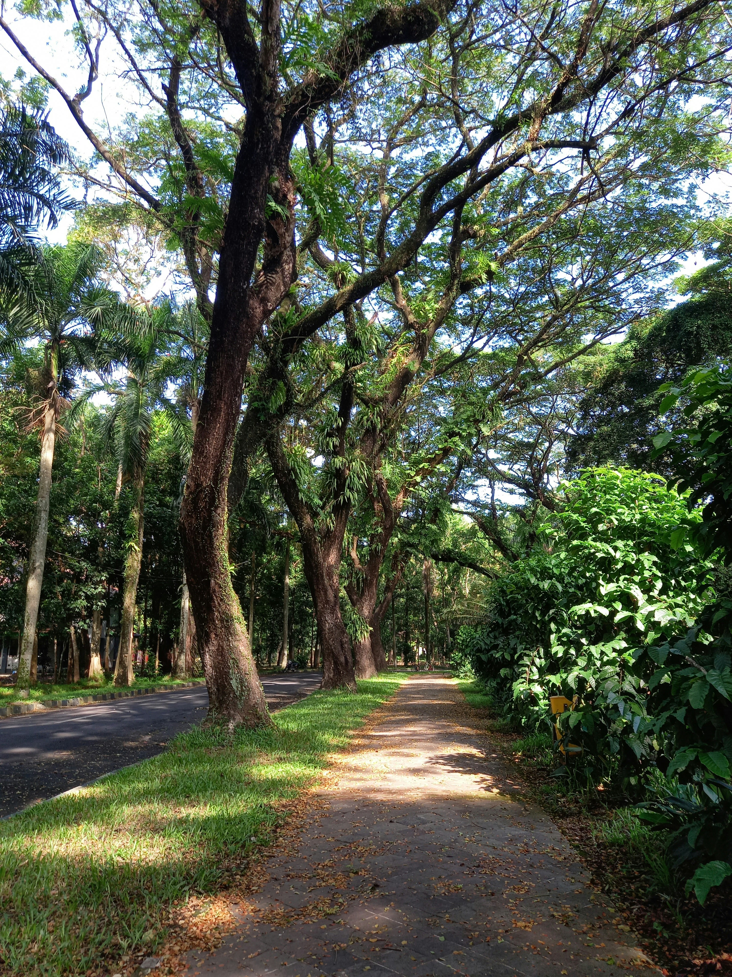 Photo by syarif_samari