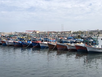 Colorful boats docked along the blue waters of Morocco’s Atlantic coast.