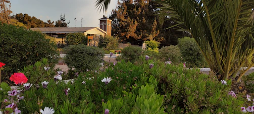 Volunteers planting a new church building foundation surrounded by lush greenery.
