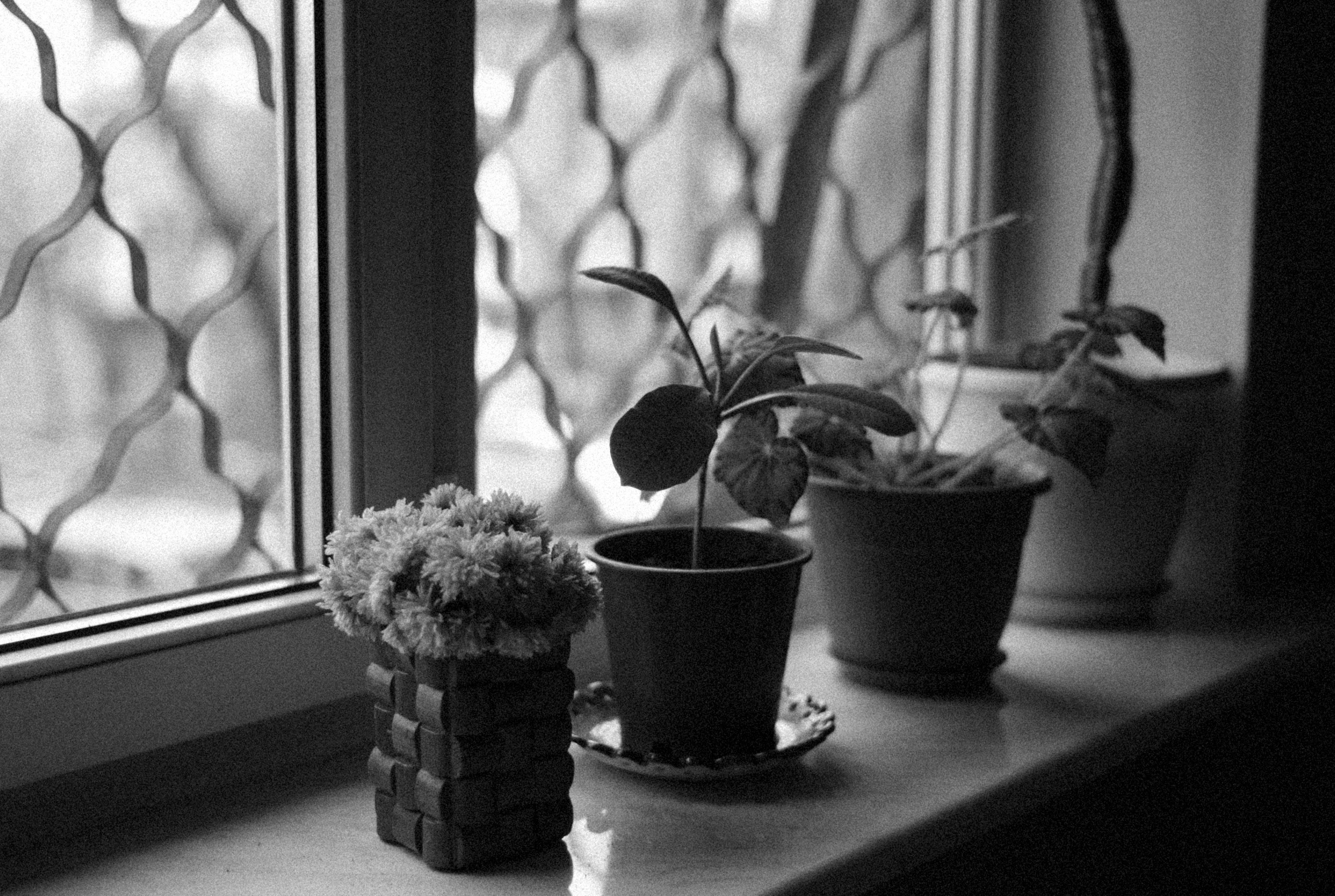 Photo by alexeydemidov