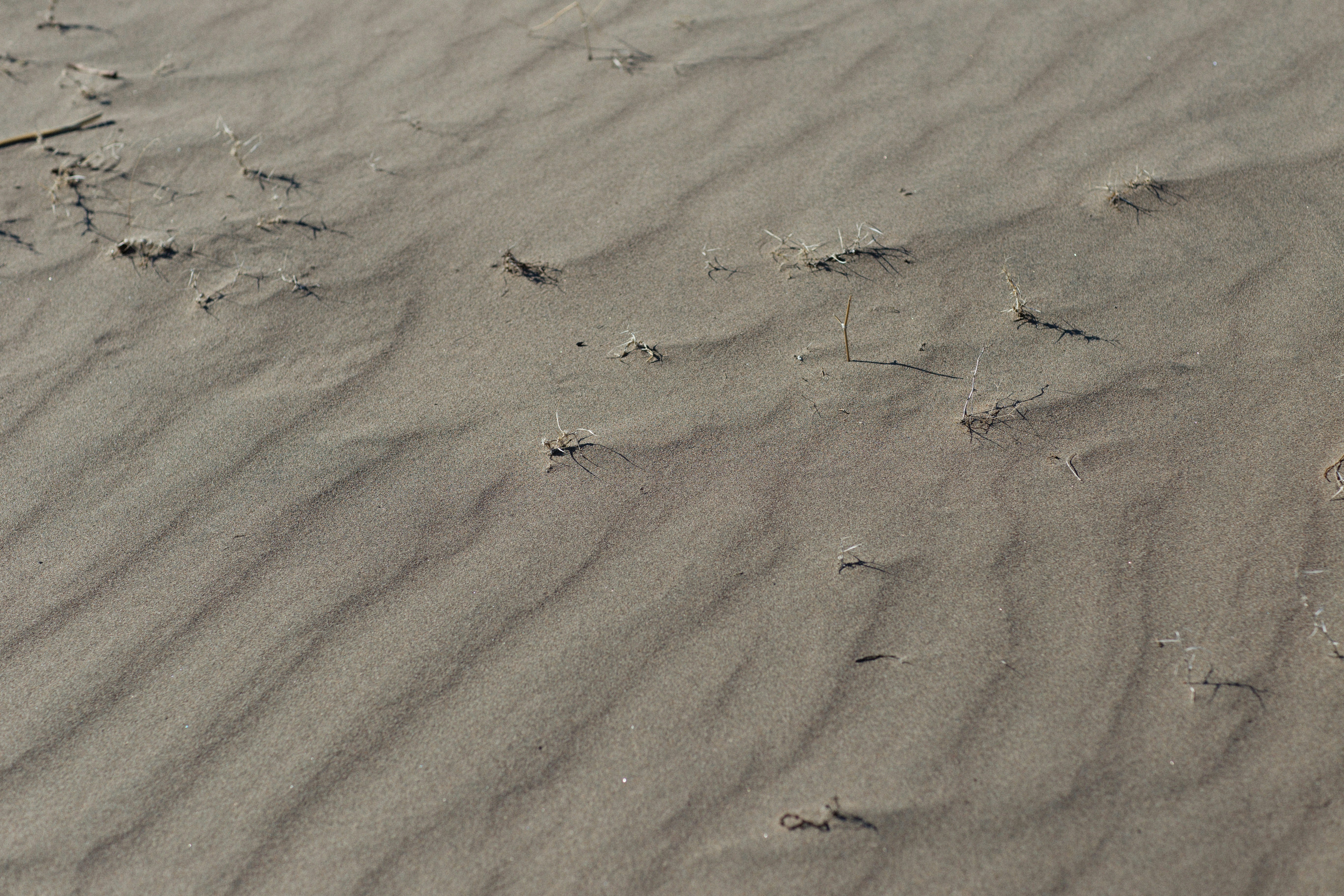 Photo by alexeydemidov